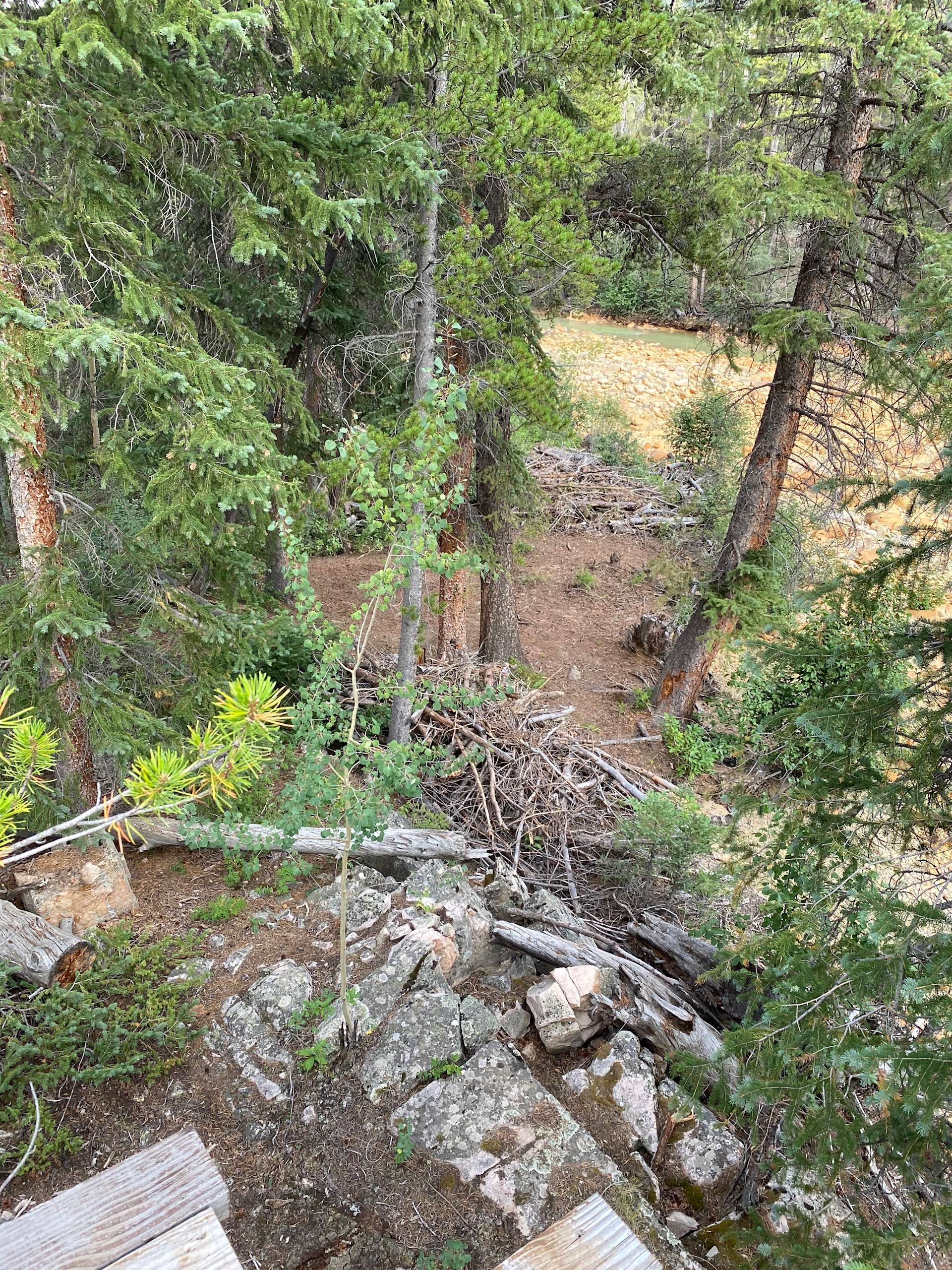 Moose Crossing Campsites Hipcamp in Twin Lakes, Colorado