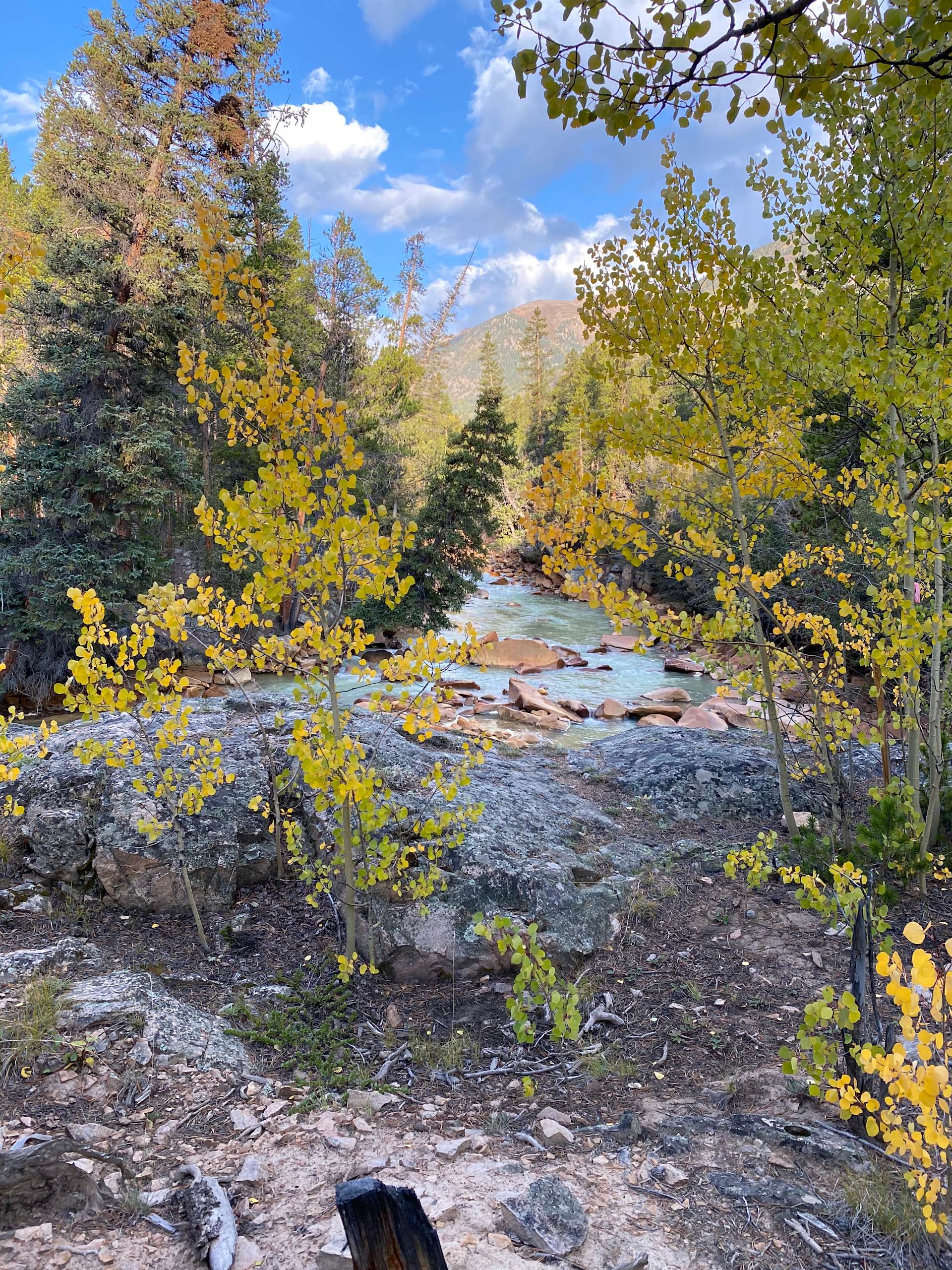 Moose Crossing Campsites Hipcamp in Twin Lakes, Colorado