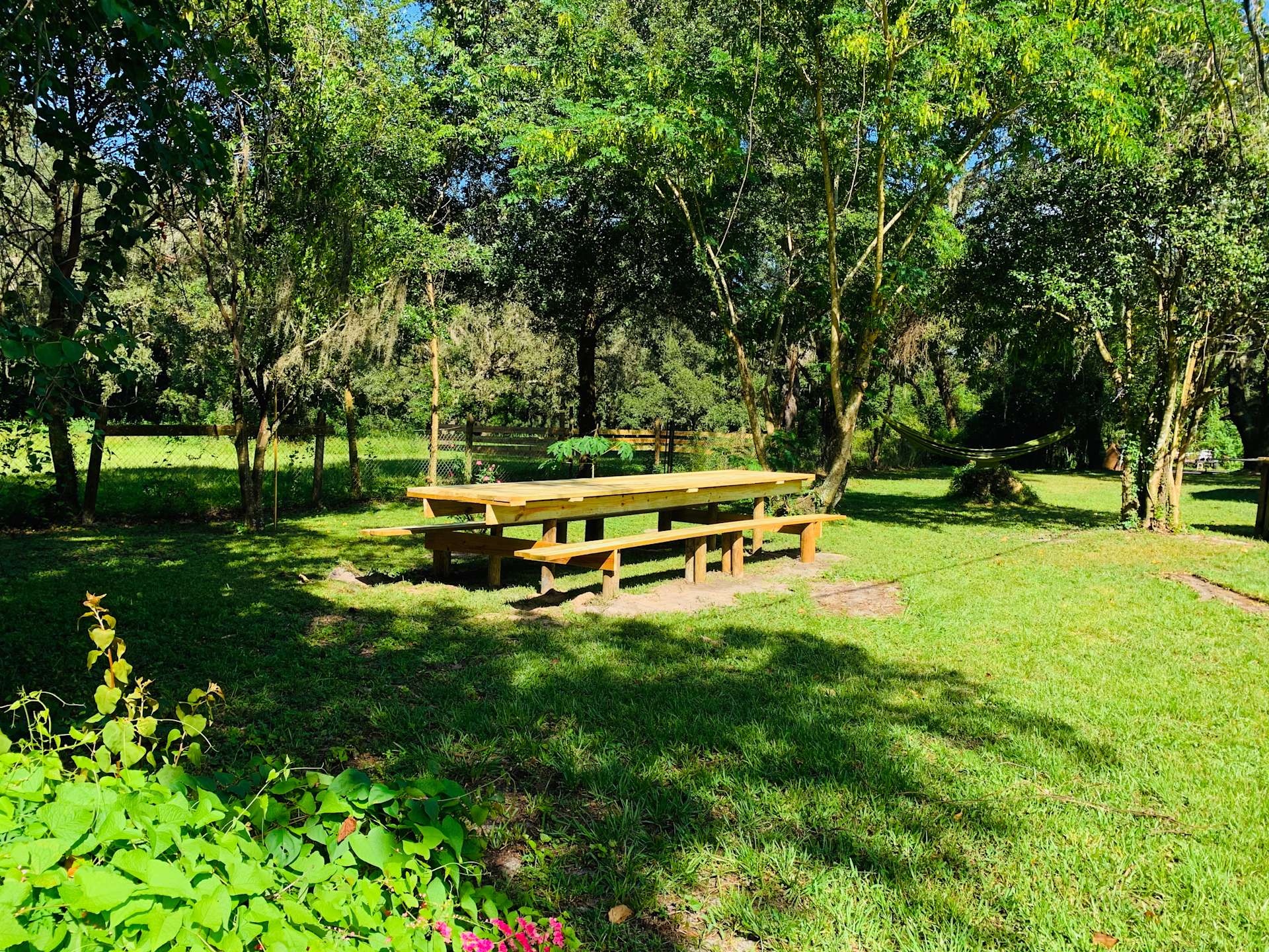 Zephyrhills retreat Hipcamp in Zephyrhills, Florida