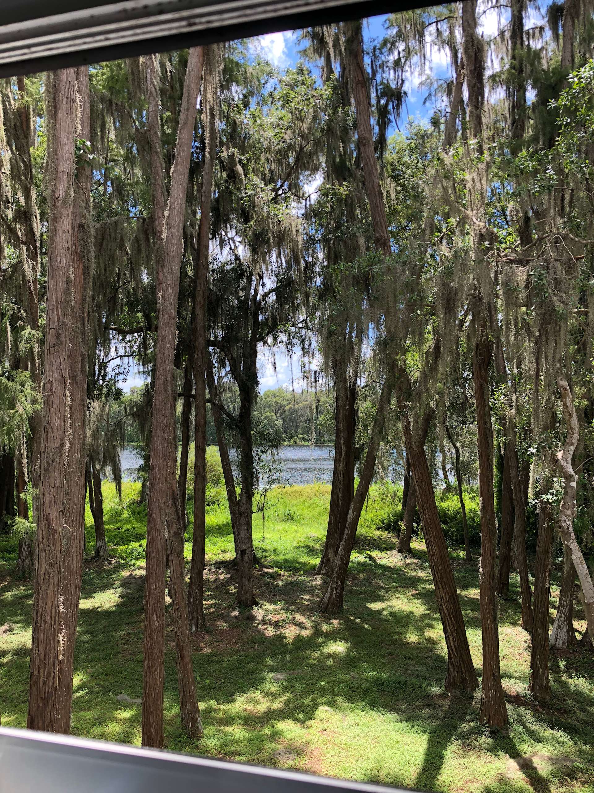 Kinzley M.’s Land Hipcamp in Lutz, Florida