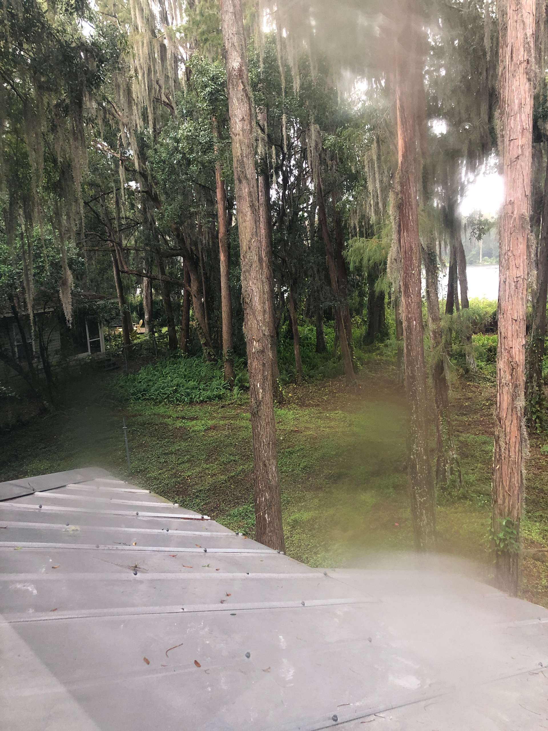 Kinzley M.’s Land Hipcamp in Lutz, Florida