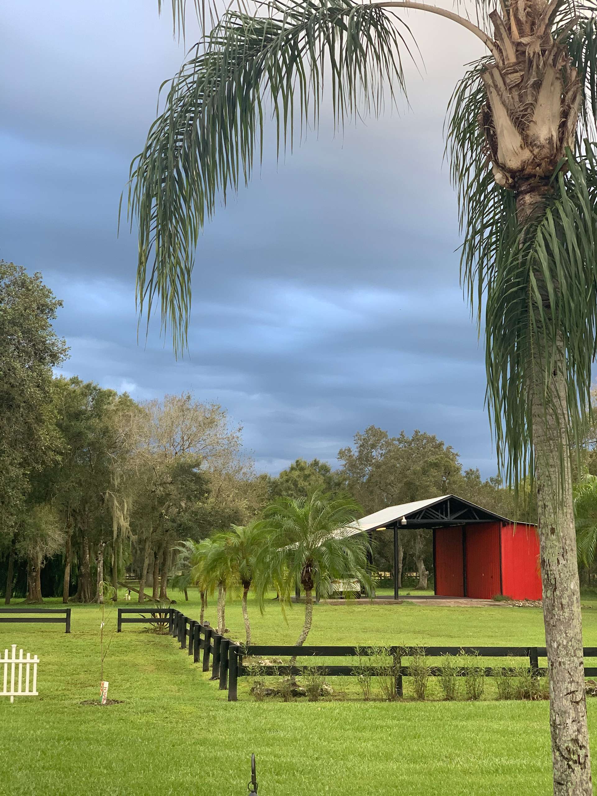 Blossom Groves Farm Hipcamp in Arcadia, Florida