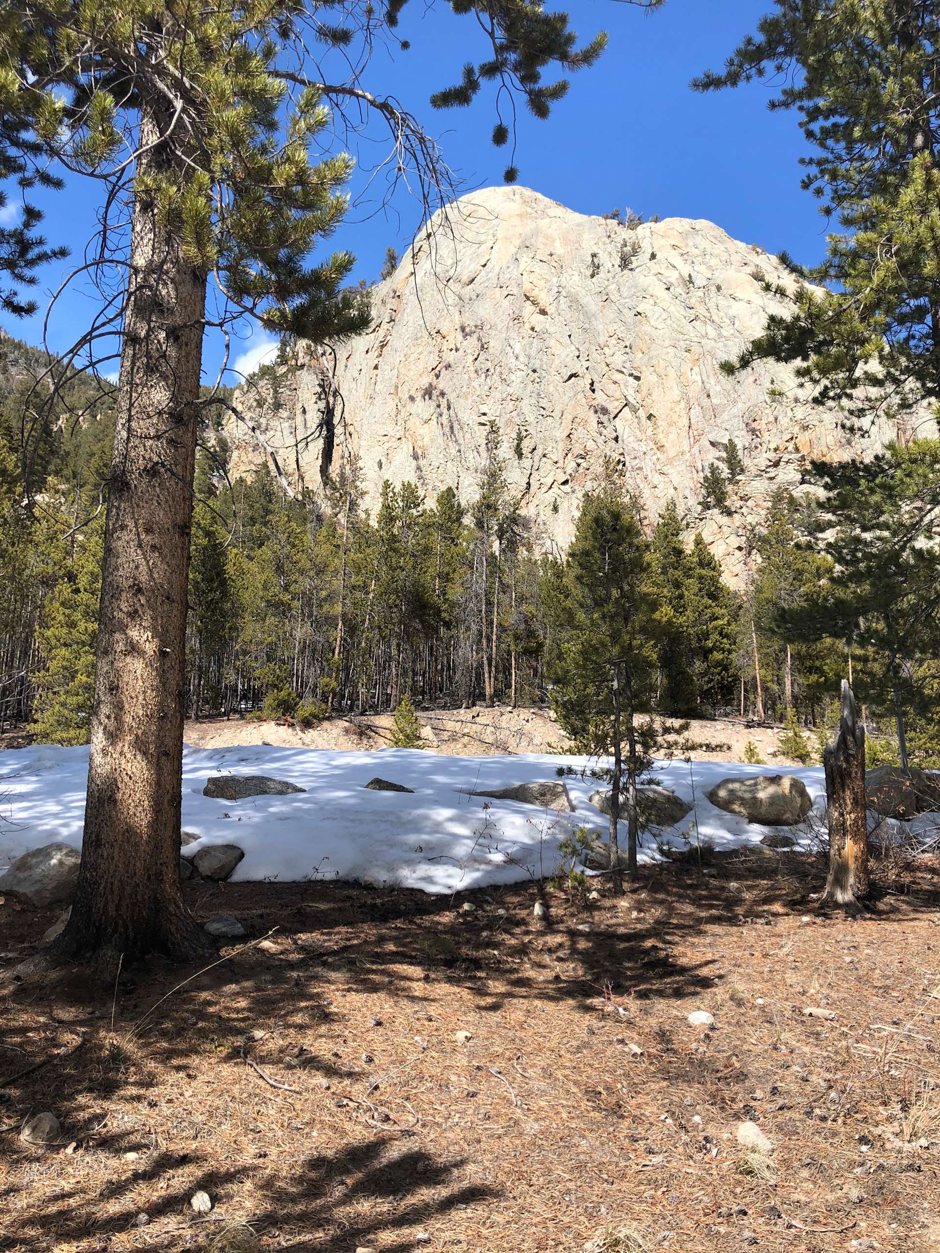 Moose Crossing Campsites Hipcamp in Twin Lakes, Colorado