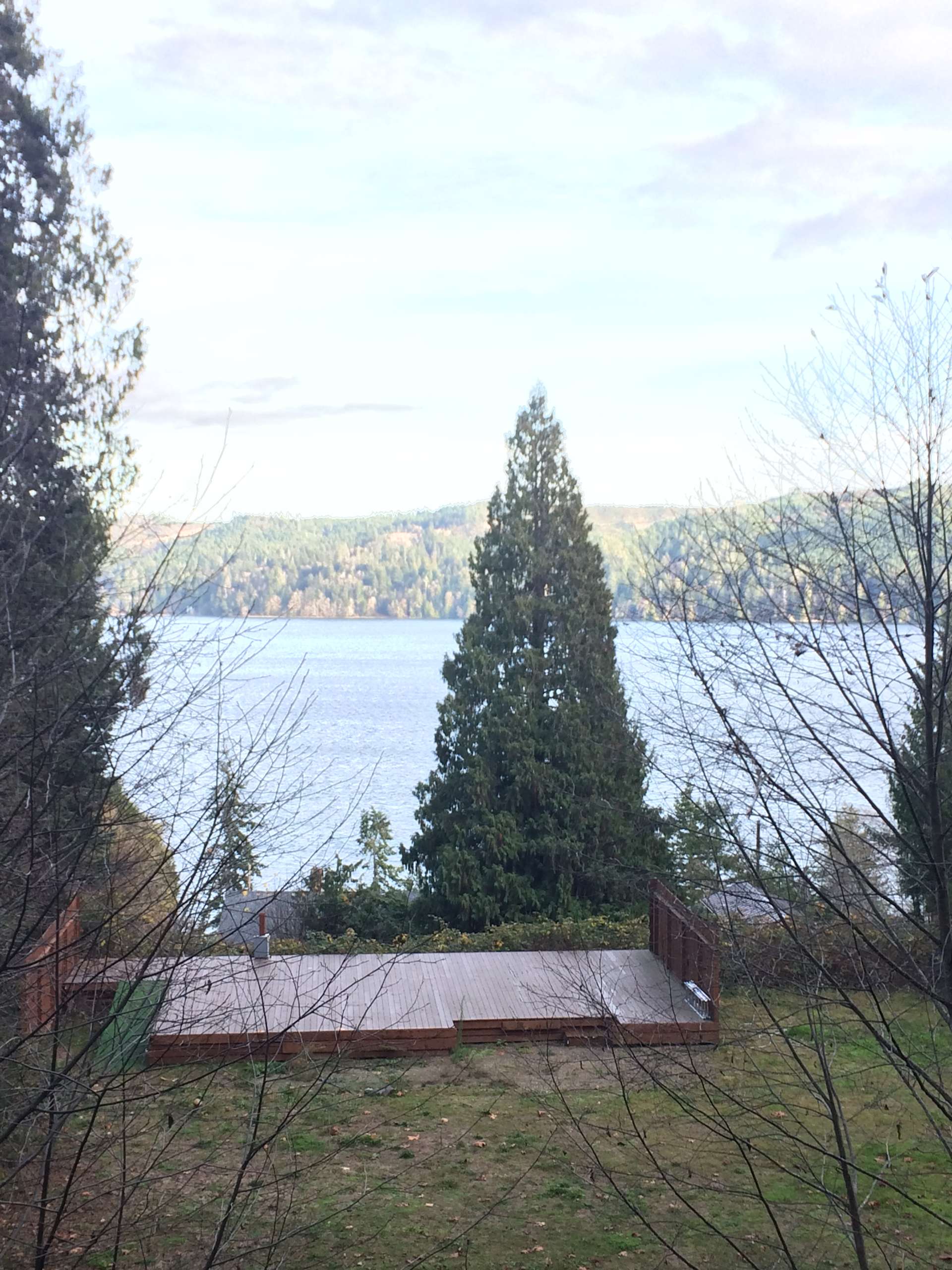 David S.’s Land Hipcamp in Lilliwaup, Washington