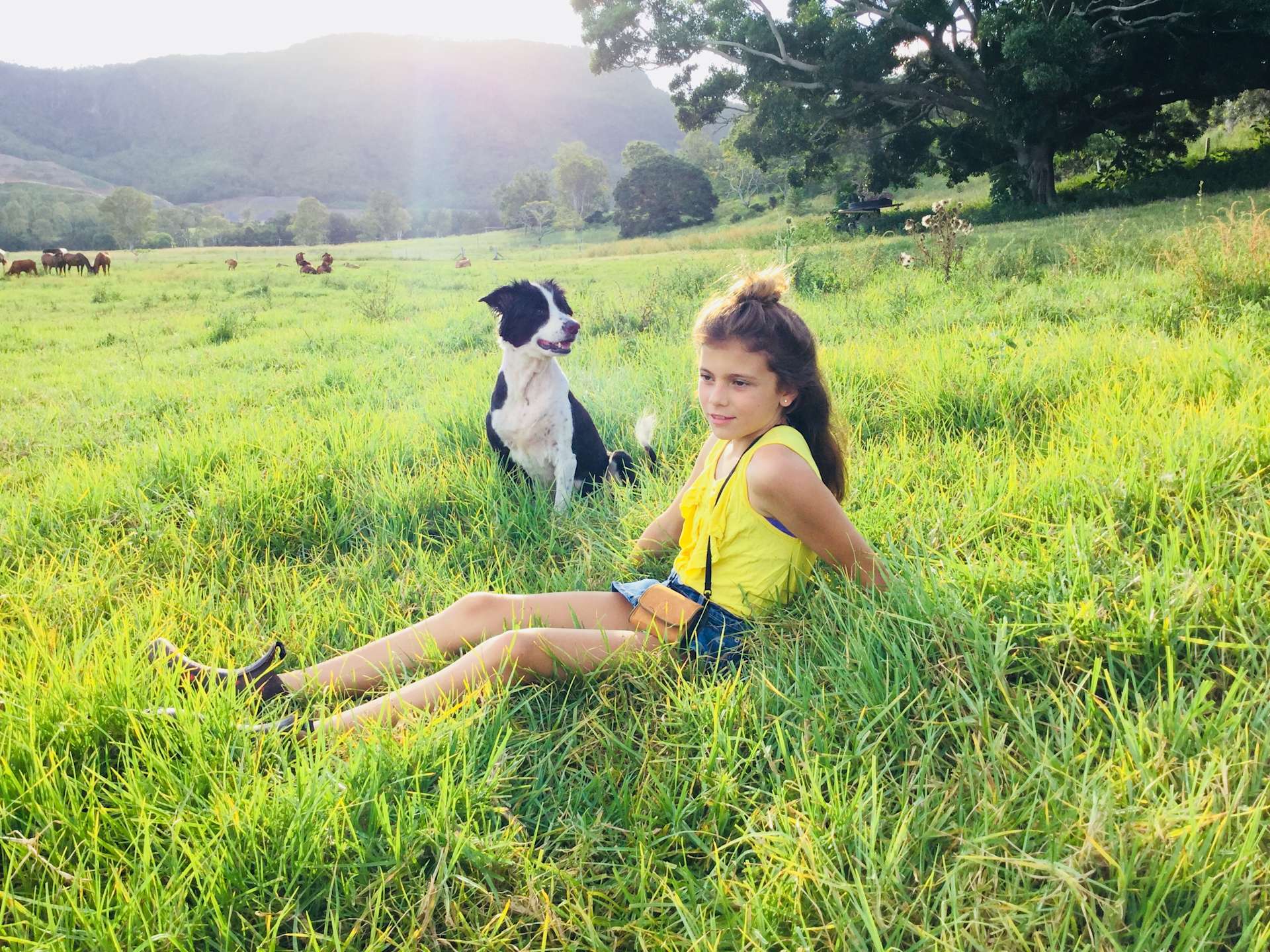 Kenilworth Free Range Farm Hipcamp in Moy Pocket, Queensland