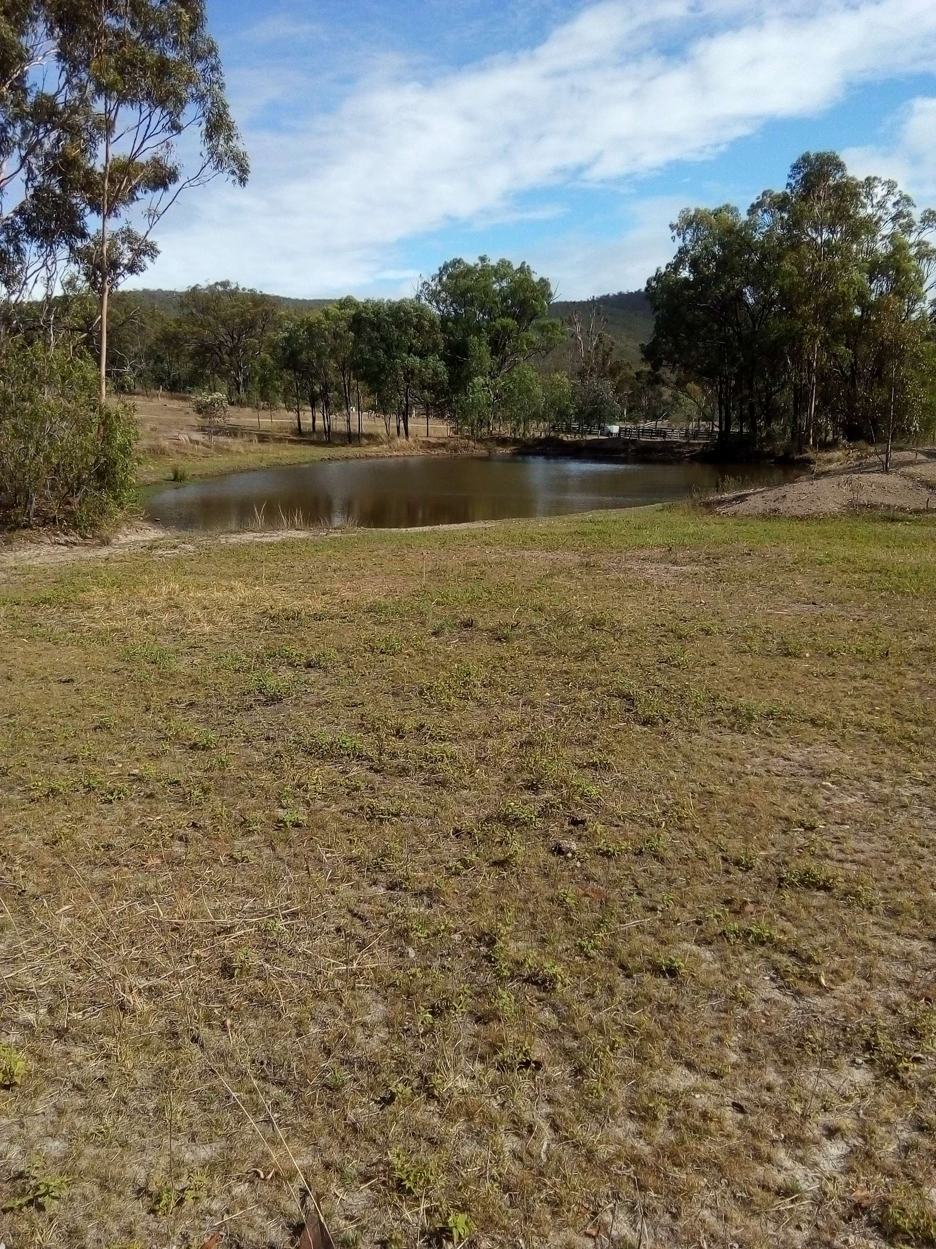 Queensland Rural Camp Hipcamp in Biggenden, Queensland