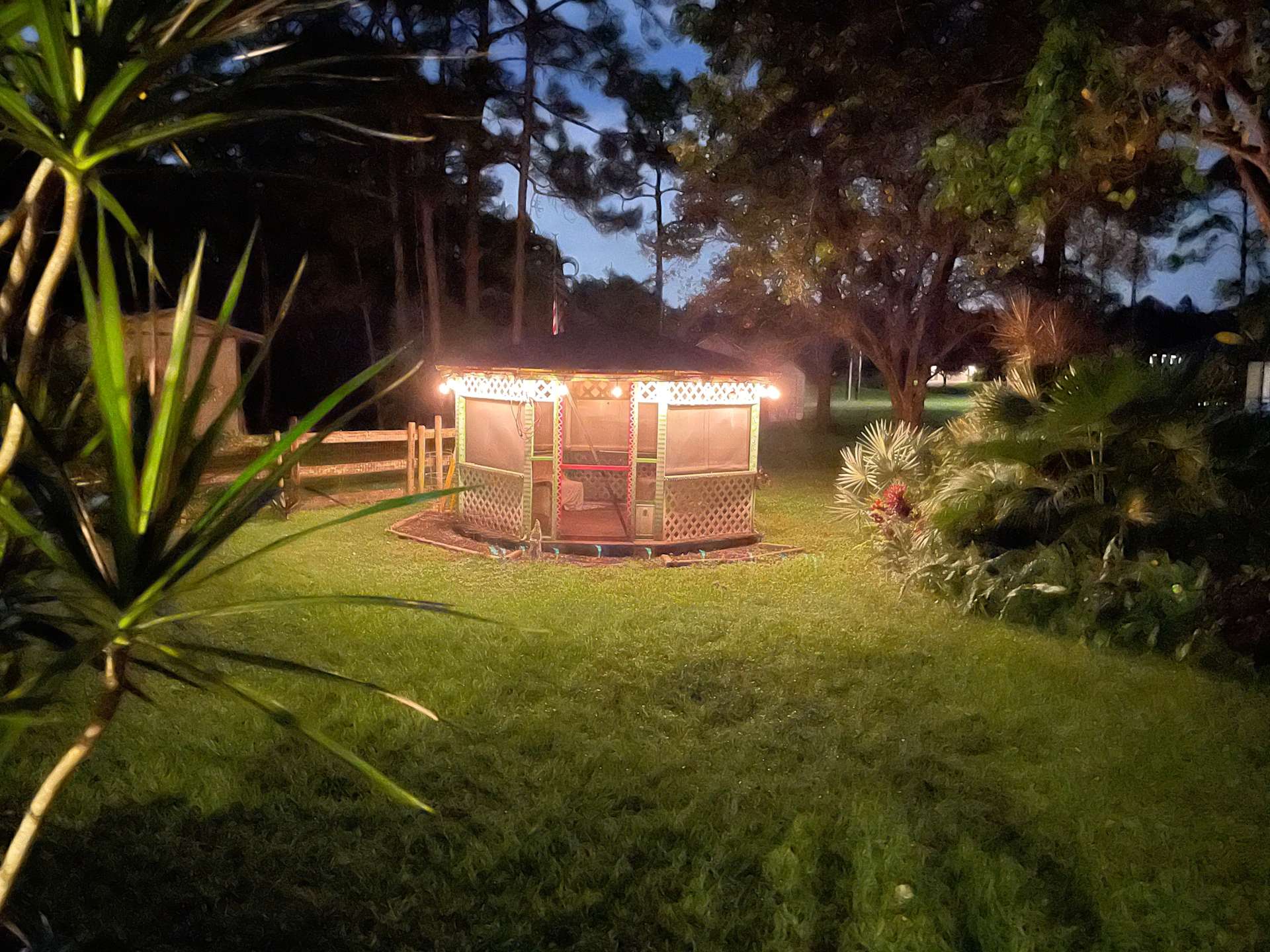 Flying Frog Ranch - Hipcamp in West Palm Beach, Florida