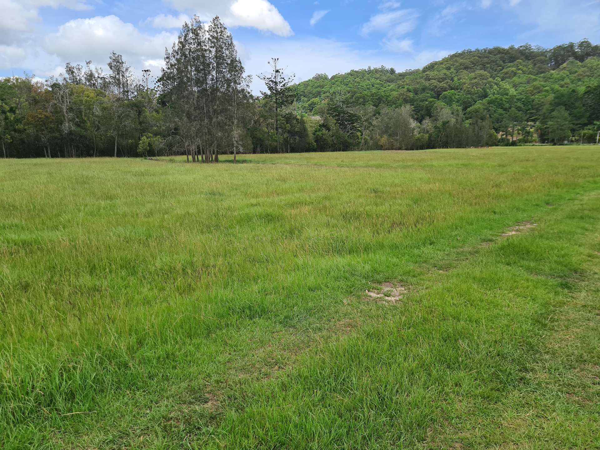 Roland O.’s Land Hipcamp in North Tumbulgum, New South Wales