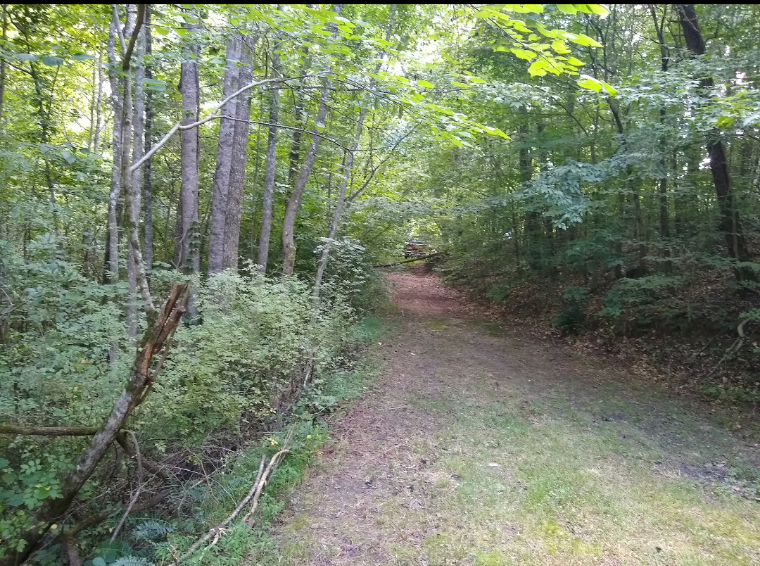 Yorks Campsite Hipcamp In Yadkinville North Carolina 6879