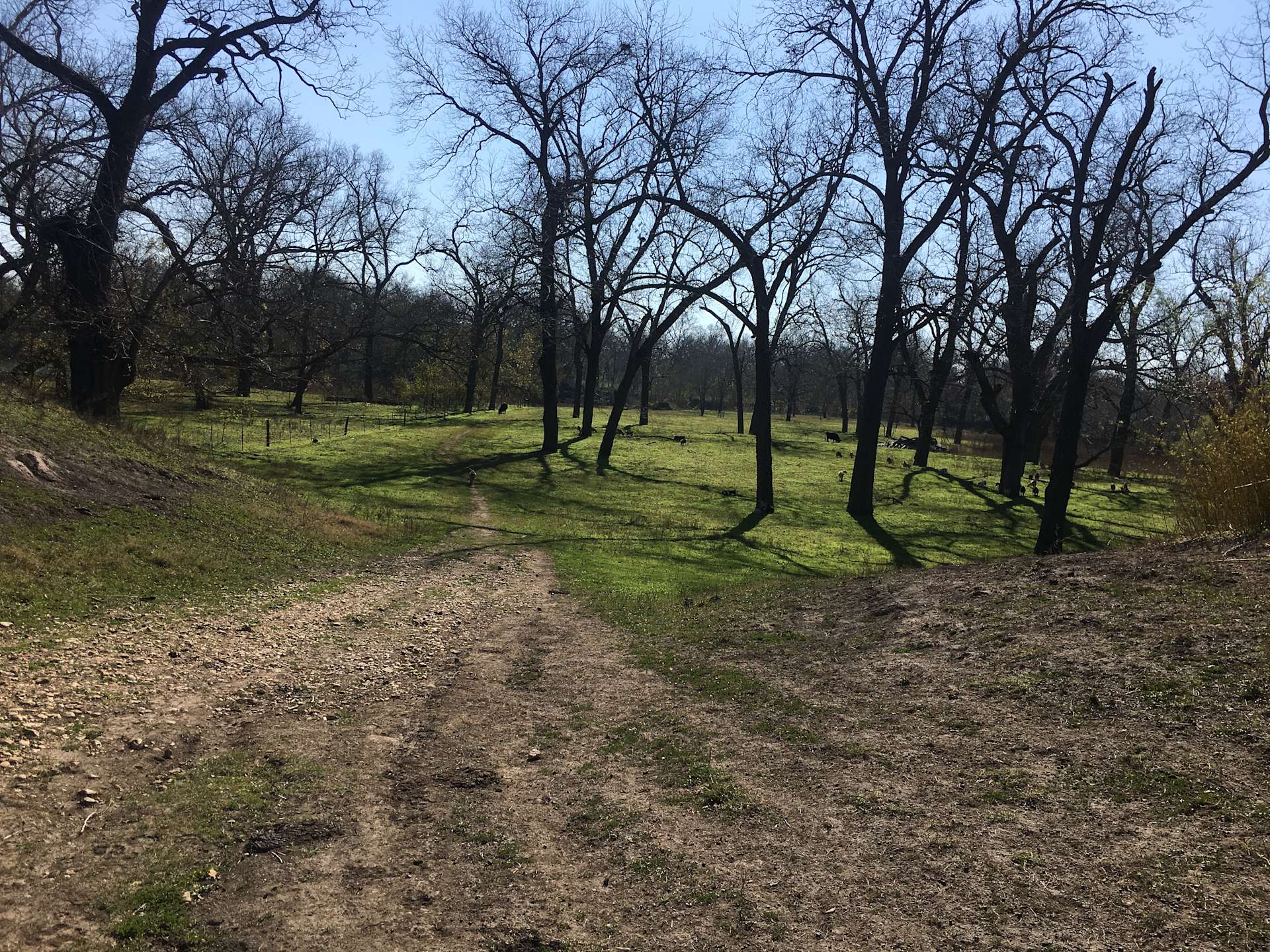 Secluded Guadalupe River Spot - Hipcamp in Gonzales, Texas