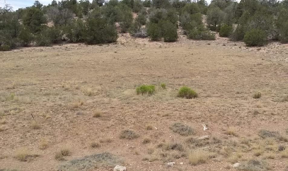 BRIDGE CANYON COUNTRY ESTATES Hipcamp in Seligman, Arizona