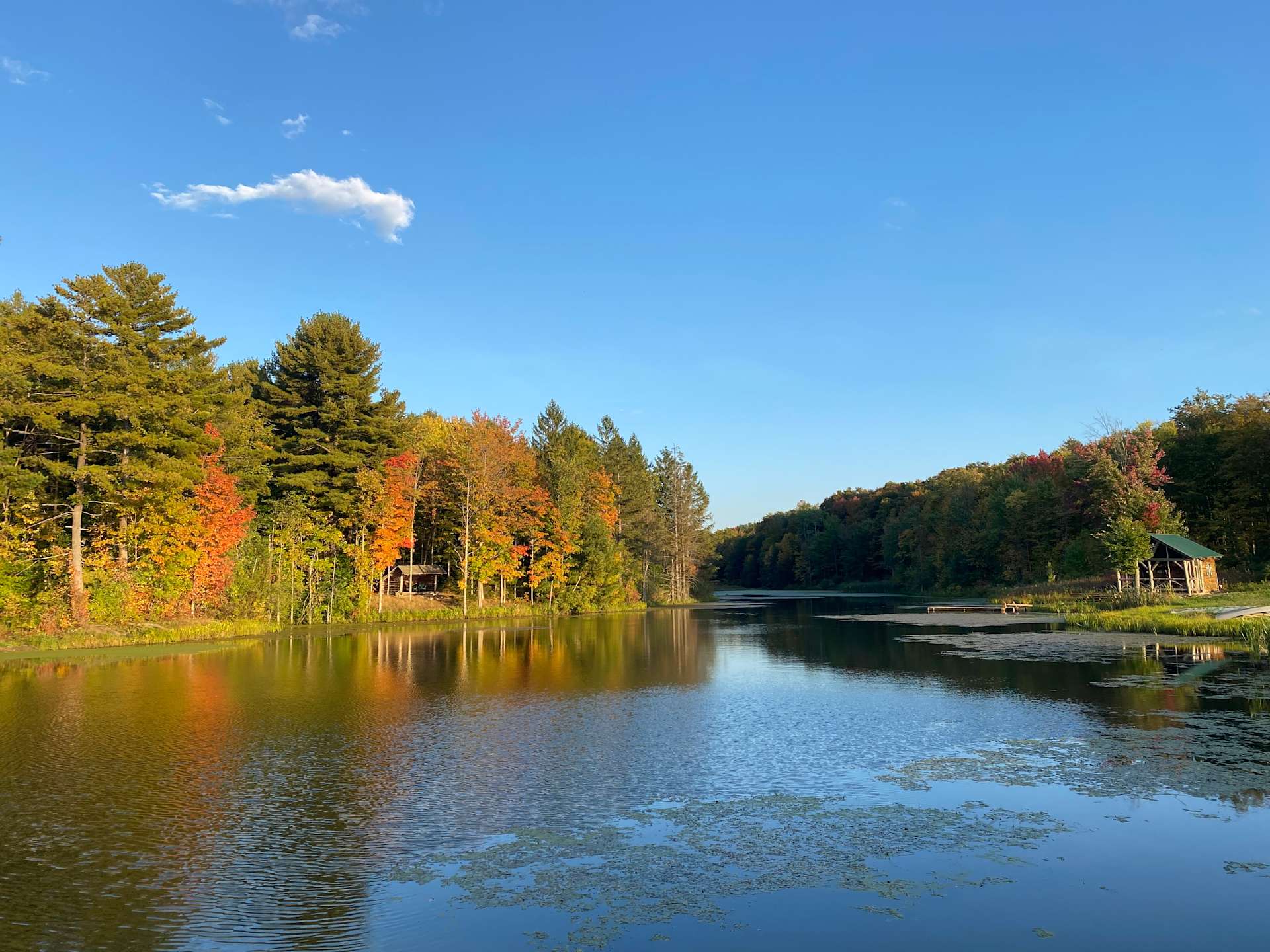 Tilden Hill Farm Hipcamp in Vernon, New York