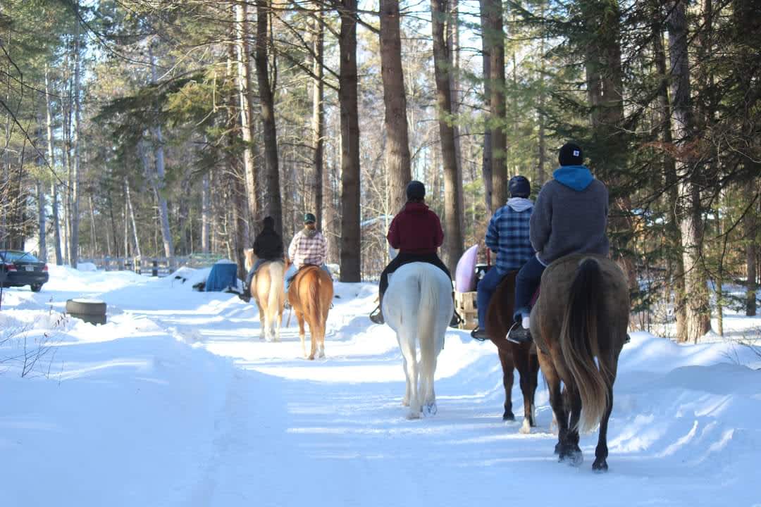 Martin R.’s Land Hipcamp in Haley Station, Ontario