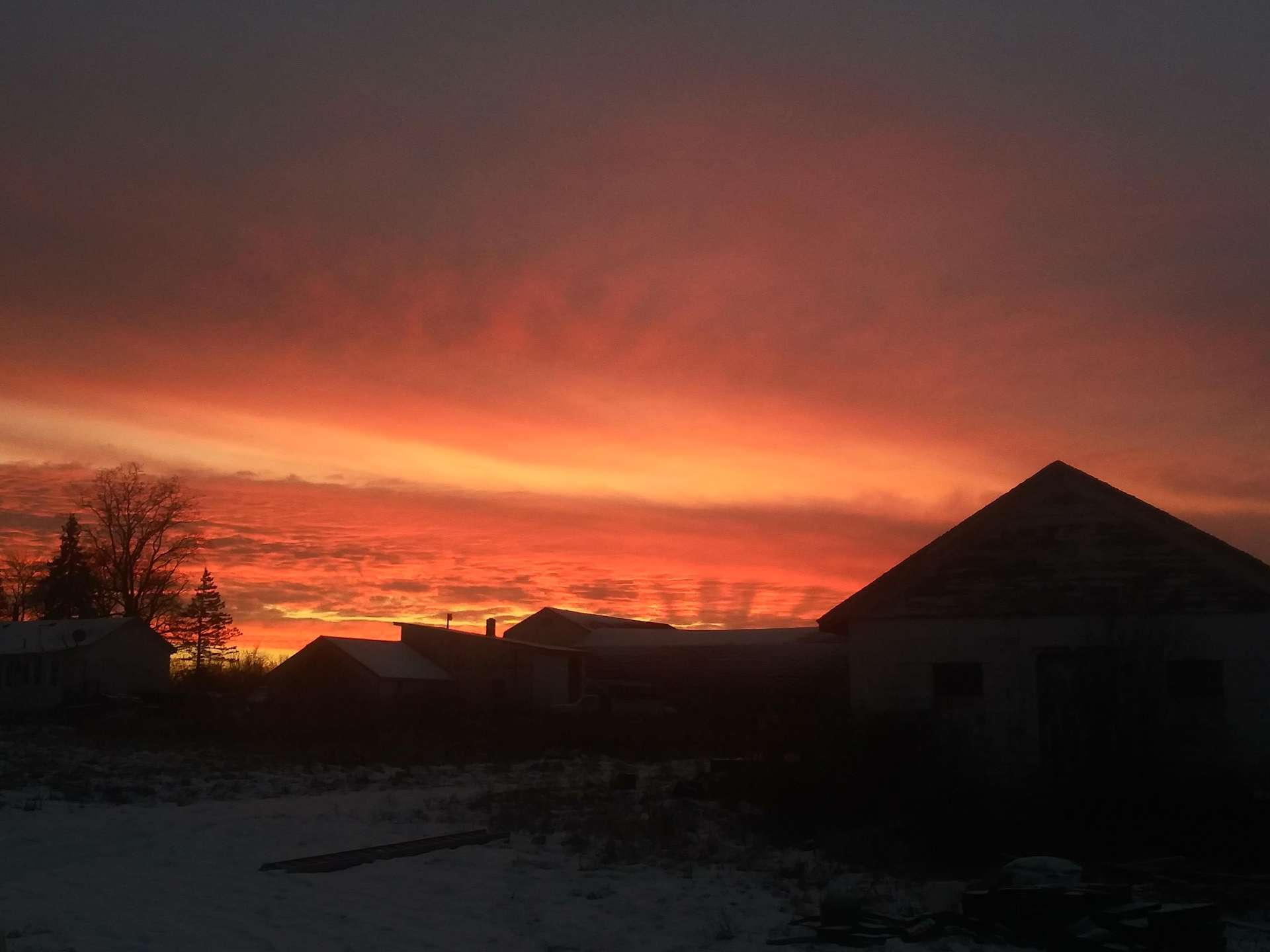 Camp WhistleStop Hipcamp in Flint, Michigan