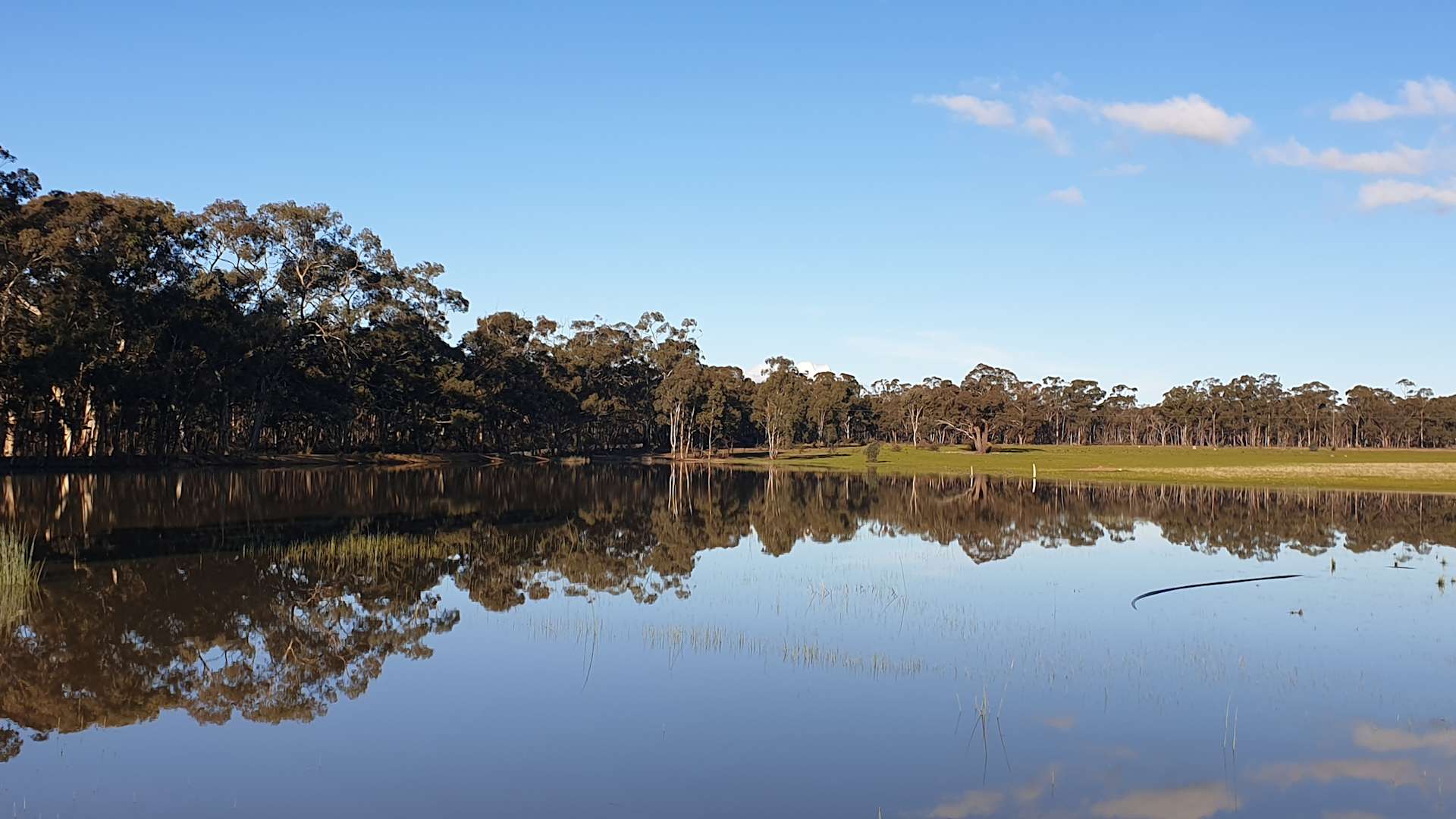 Somerville Park (Bendigo) - Hipcamp in Fosterville, Victoria