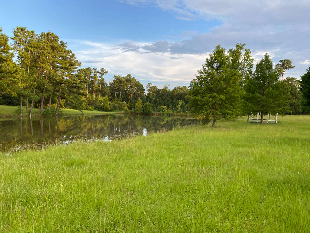 Taliesin Grange Hipcamp in Kiln, Mississippi