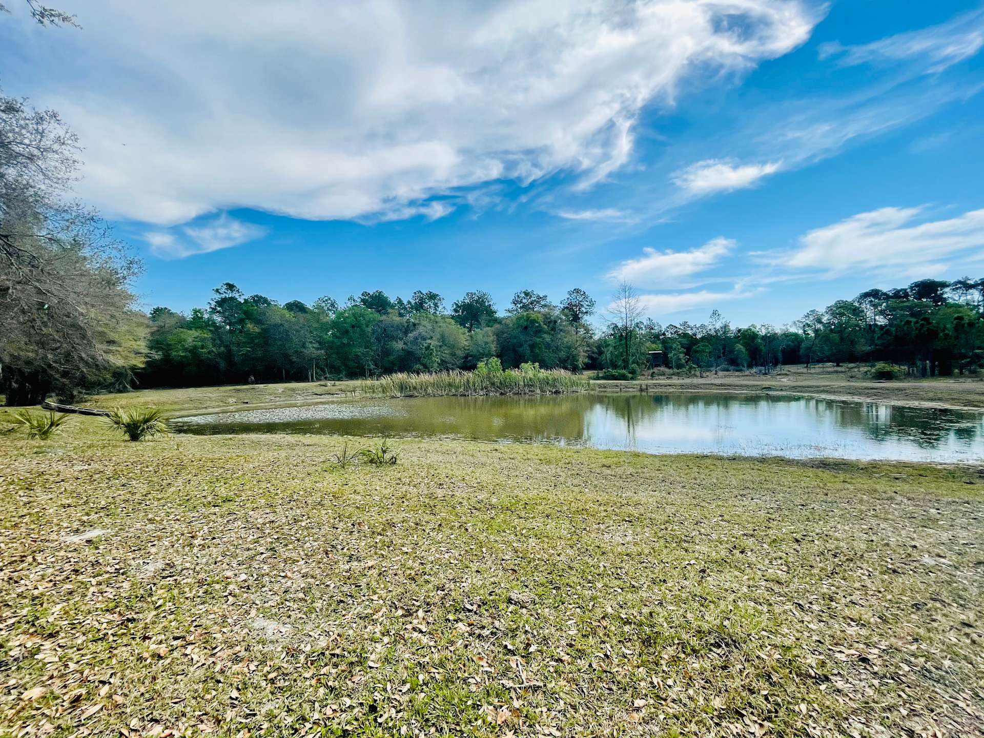 Reid’s Campground - Hipcamp in Hernando, Florida