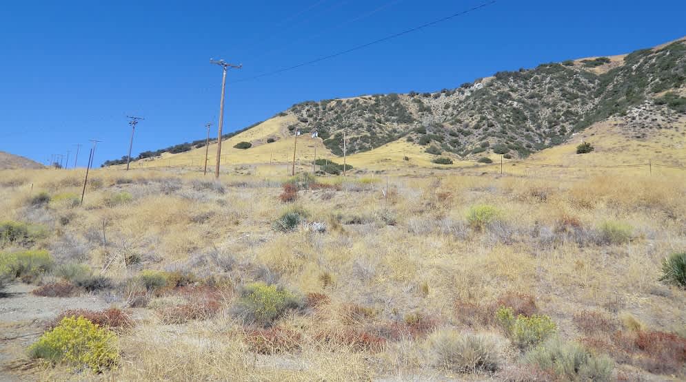 Amir M.’s Land Hipcamp in Lebec, California