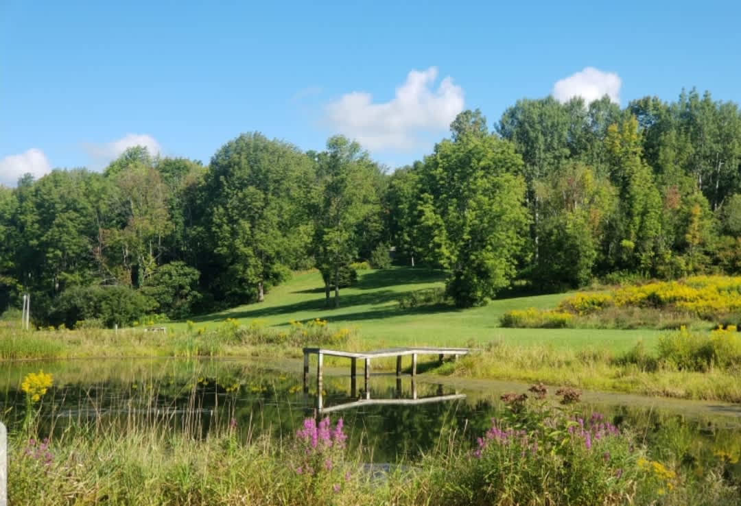 Mountains Hipcamp in Warnerville, New York