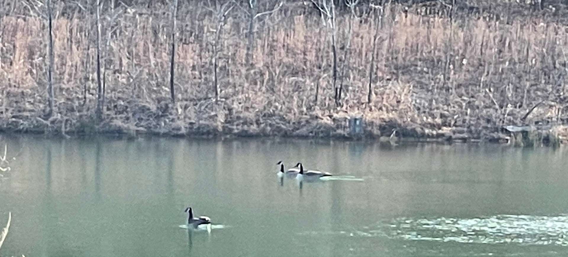 Lake View camping Hipcamp in Reynolds Station, Kentucky
