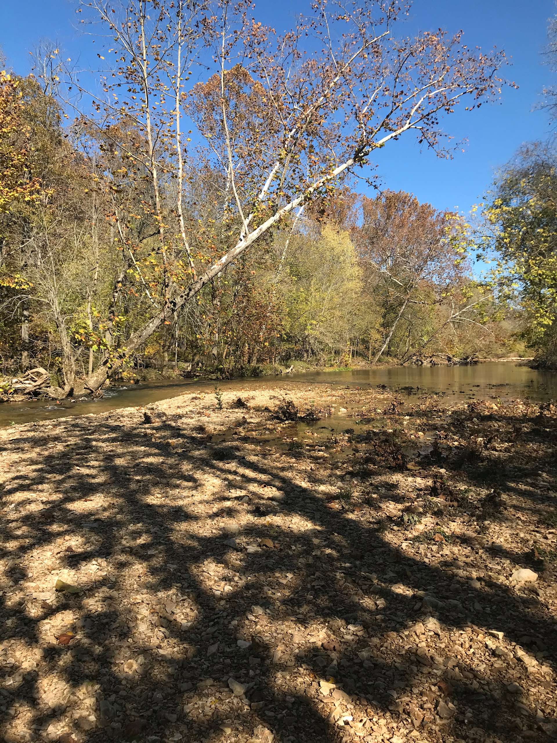 Finley River front Hipcamp in Fordland, Missouri