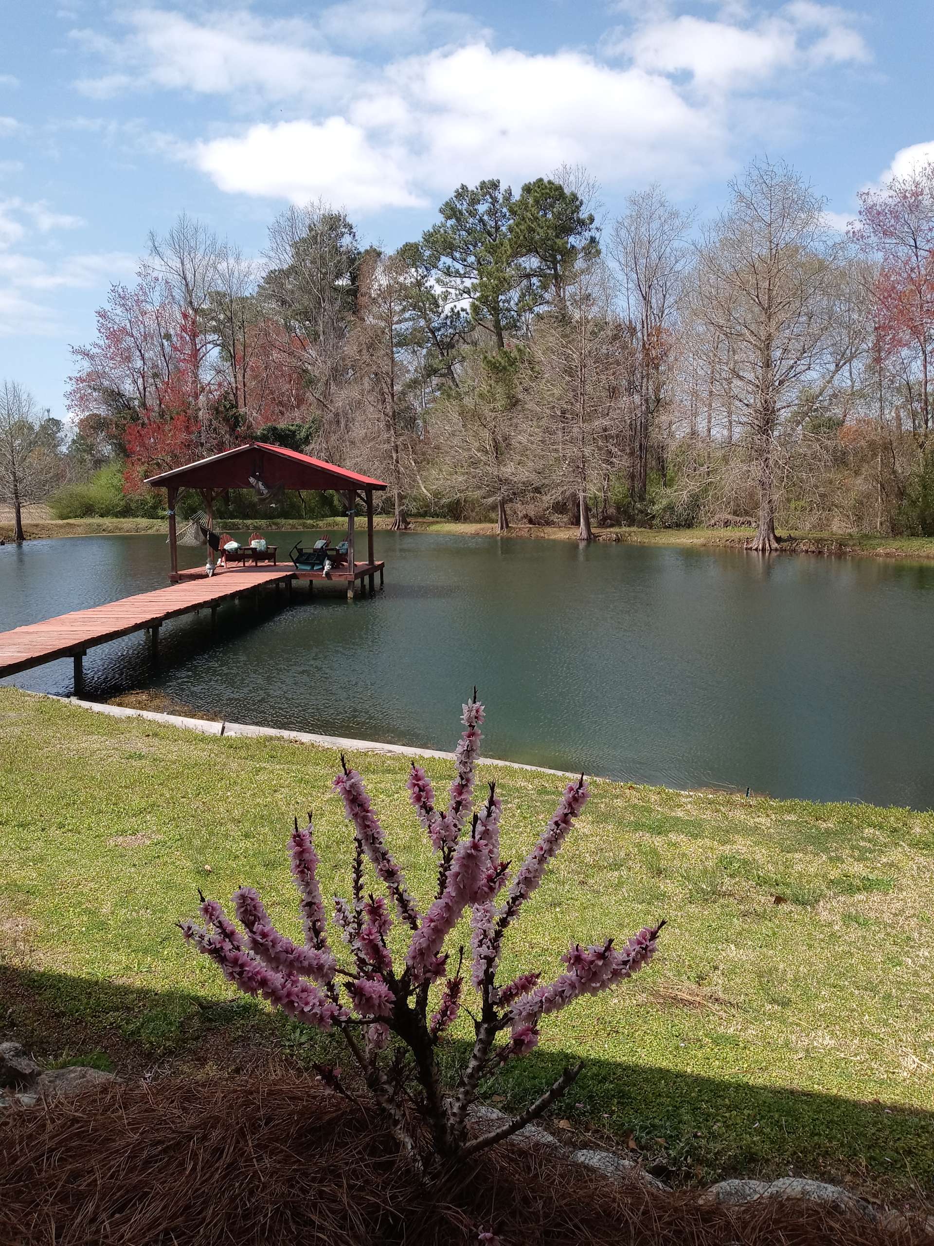 Back to Nature Hipcamp in Chadbourn, North Carolina