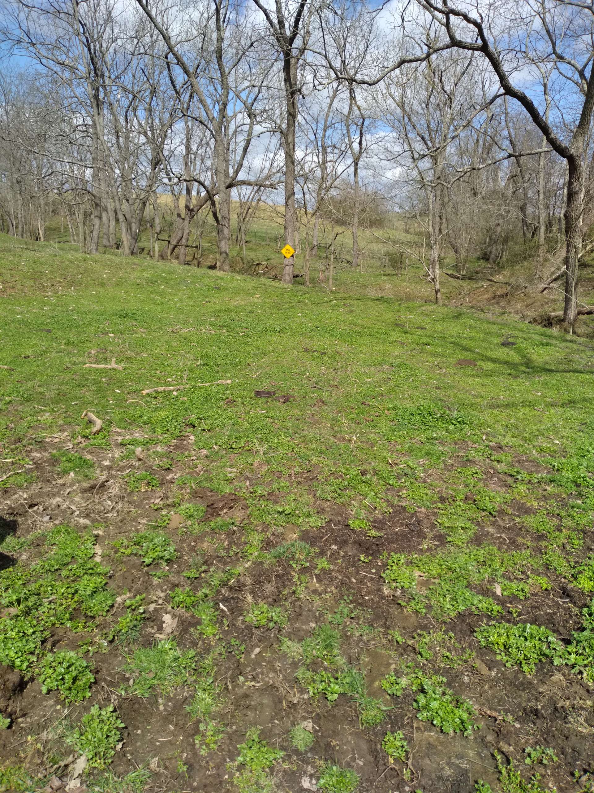 Foggy bottom camp - Hipcamp in , Kentucky
