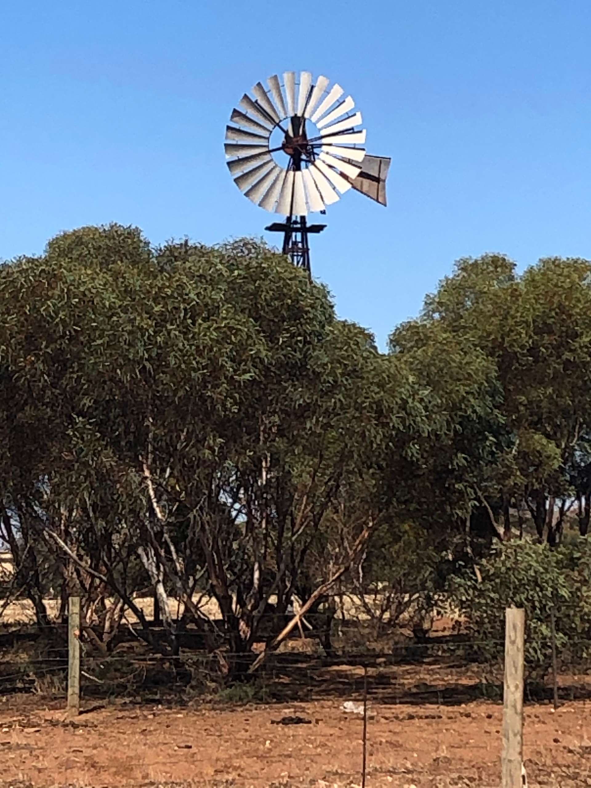 Kimali Farm Hipcamp in Sedan, South Australia