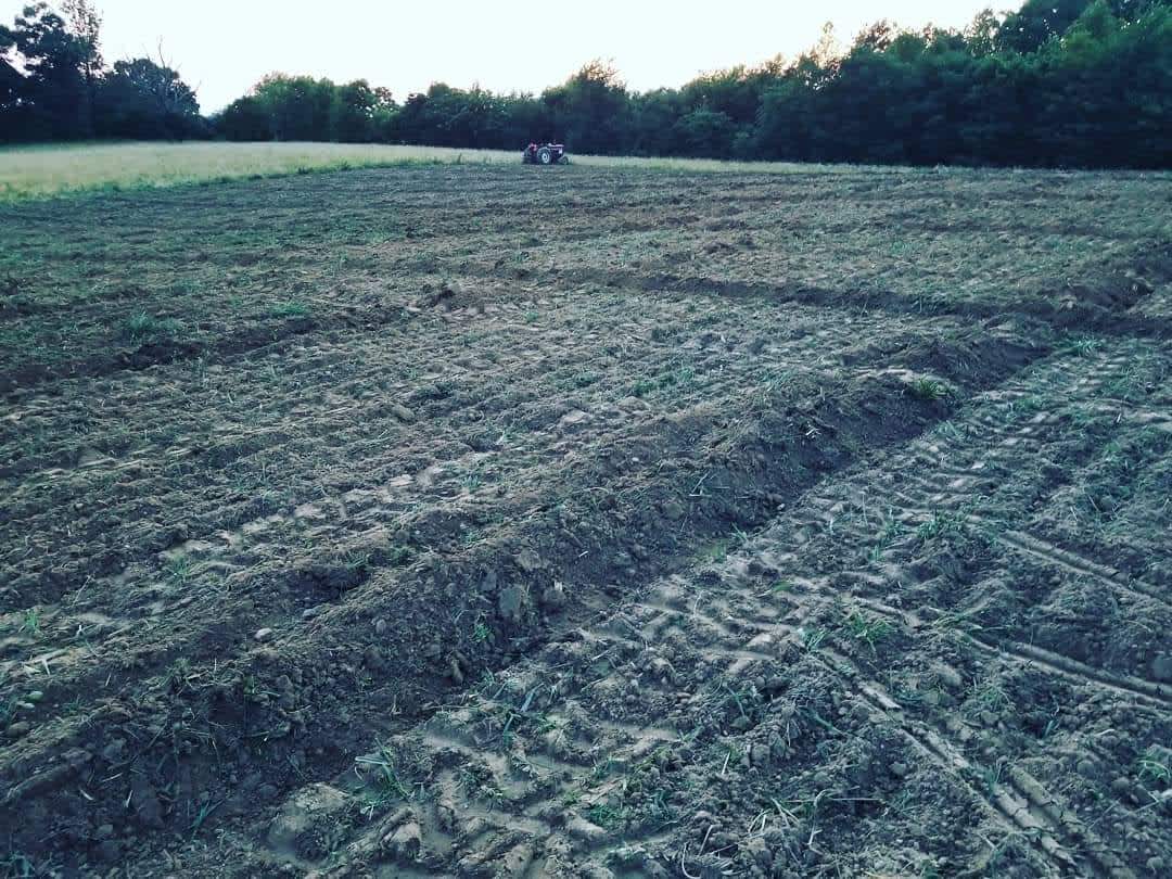 Tent Camping On the Farm! Hipcamp in Greeneville, Tennessee
