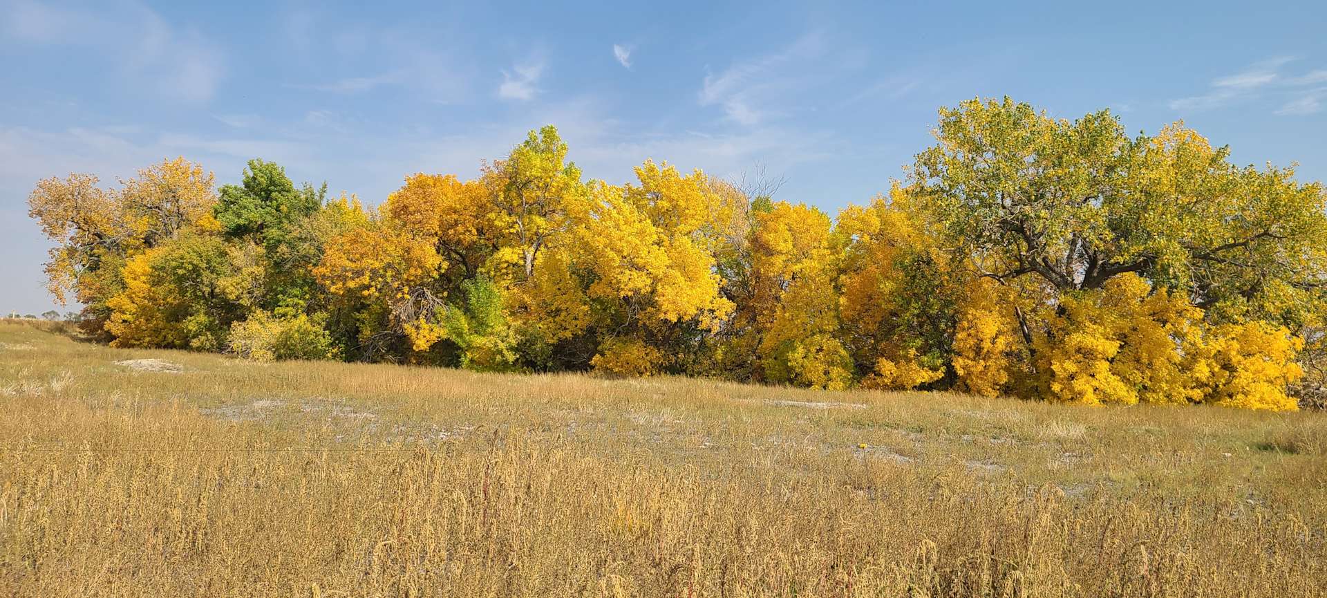 Pawnee Creek Hills Hipcamp in Atwood, Colorado