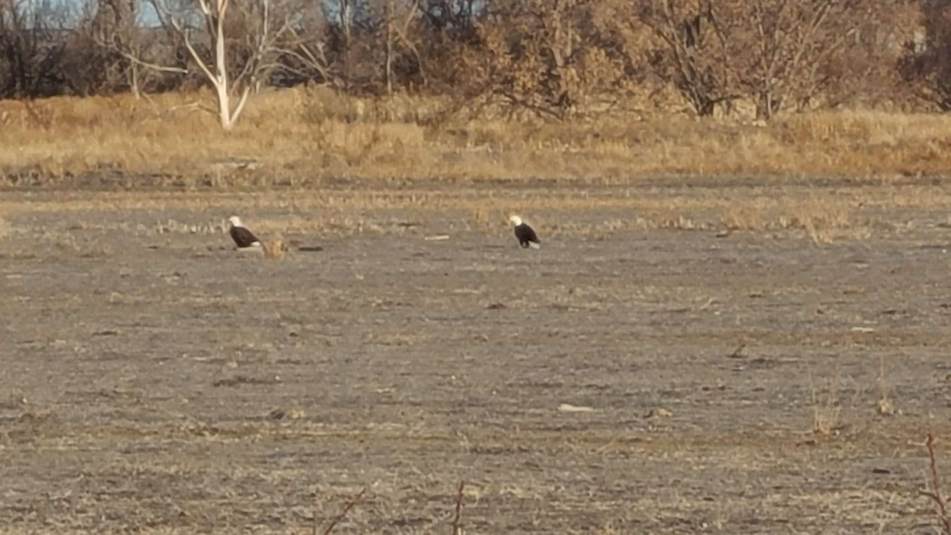 Pawnee Creek Hills Hipcamp in Atwood, Colorado