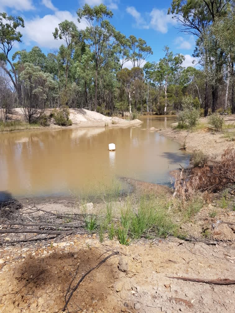 Gumtree Camp Hipcamp in Tara, Queensland