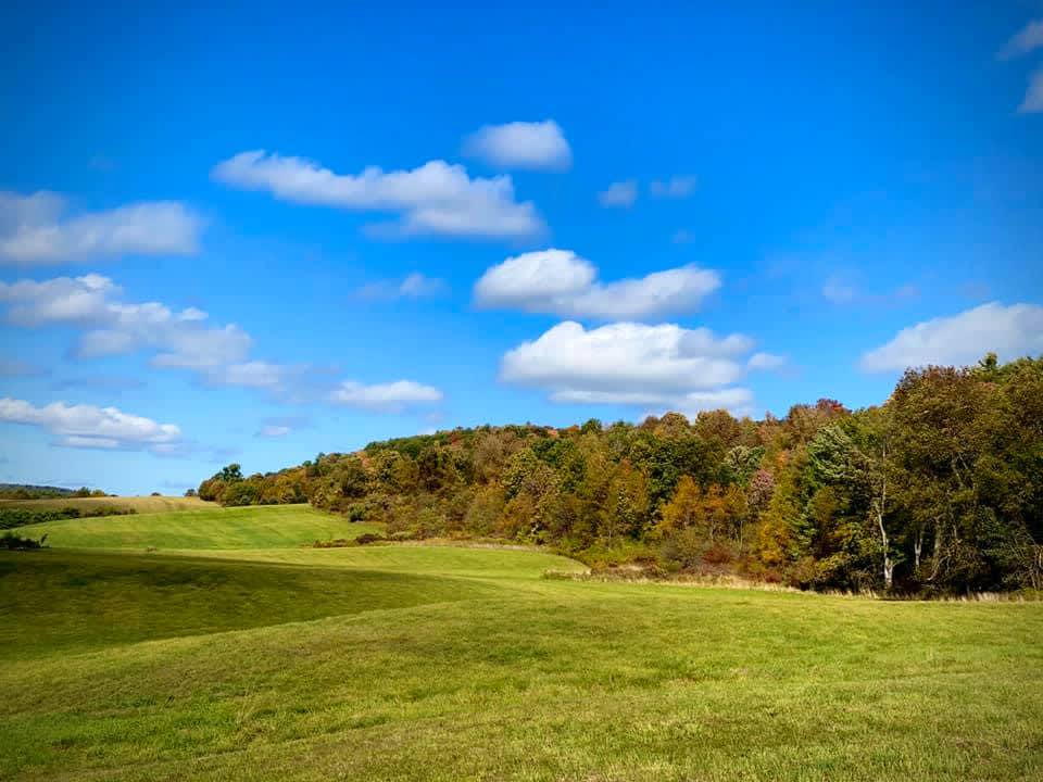Easy Access Historic Farm Hipcamp in Otego, New York