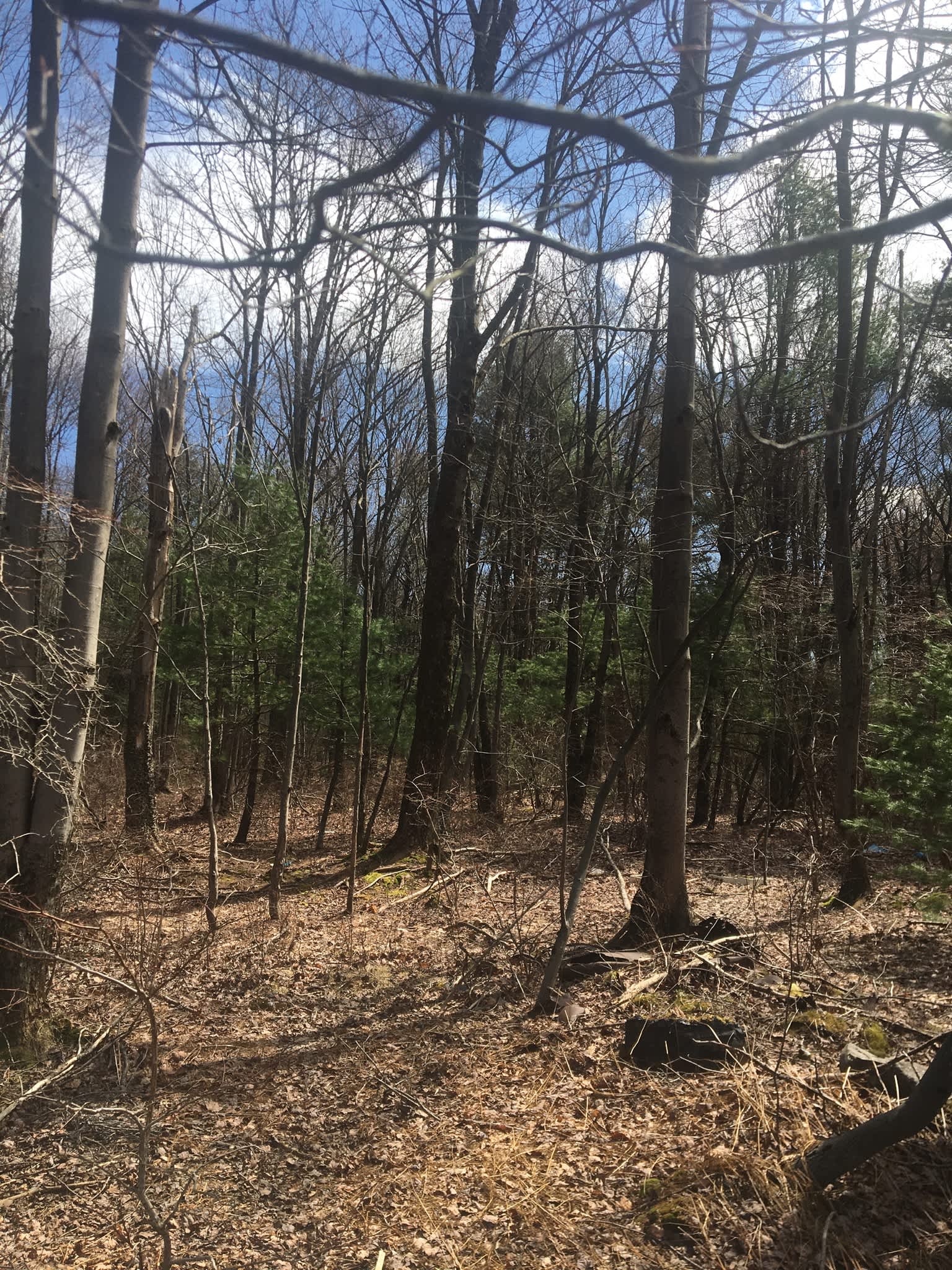 Bank By The Forest Hipcamp in Woodridge, New York