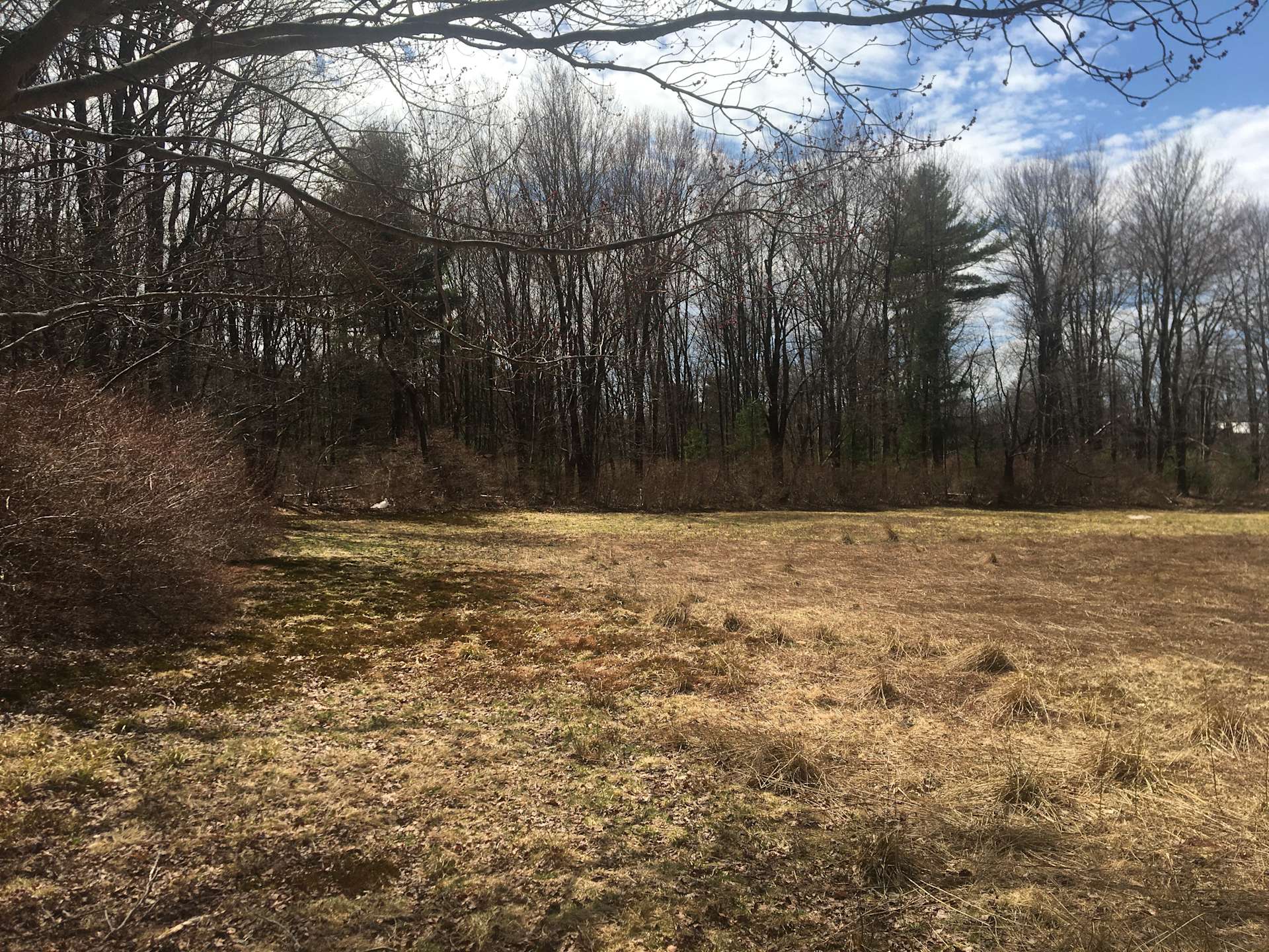 Bank By The Forest Hipcamp in Woodridge, New York