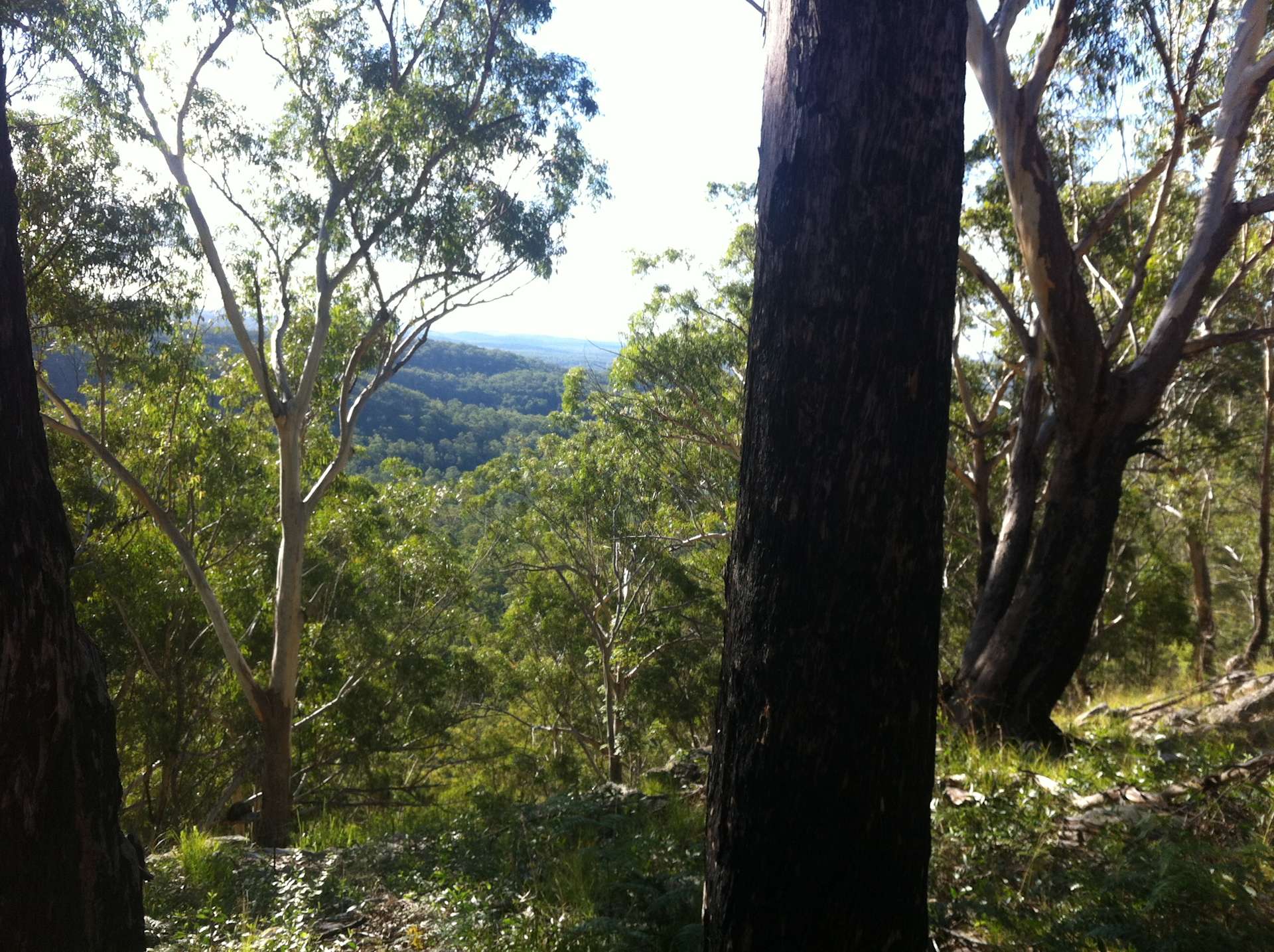 Coutts Crossing Camp Hipcamp in Coutts Crossing, New South Wales