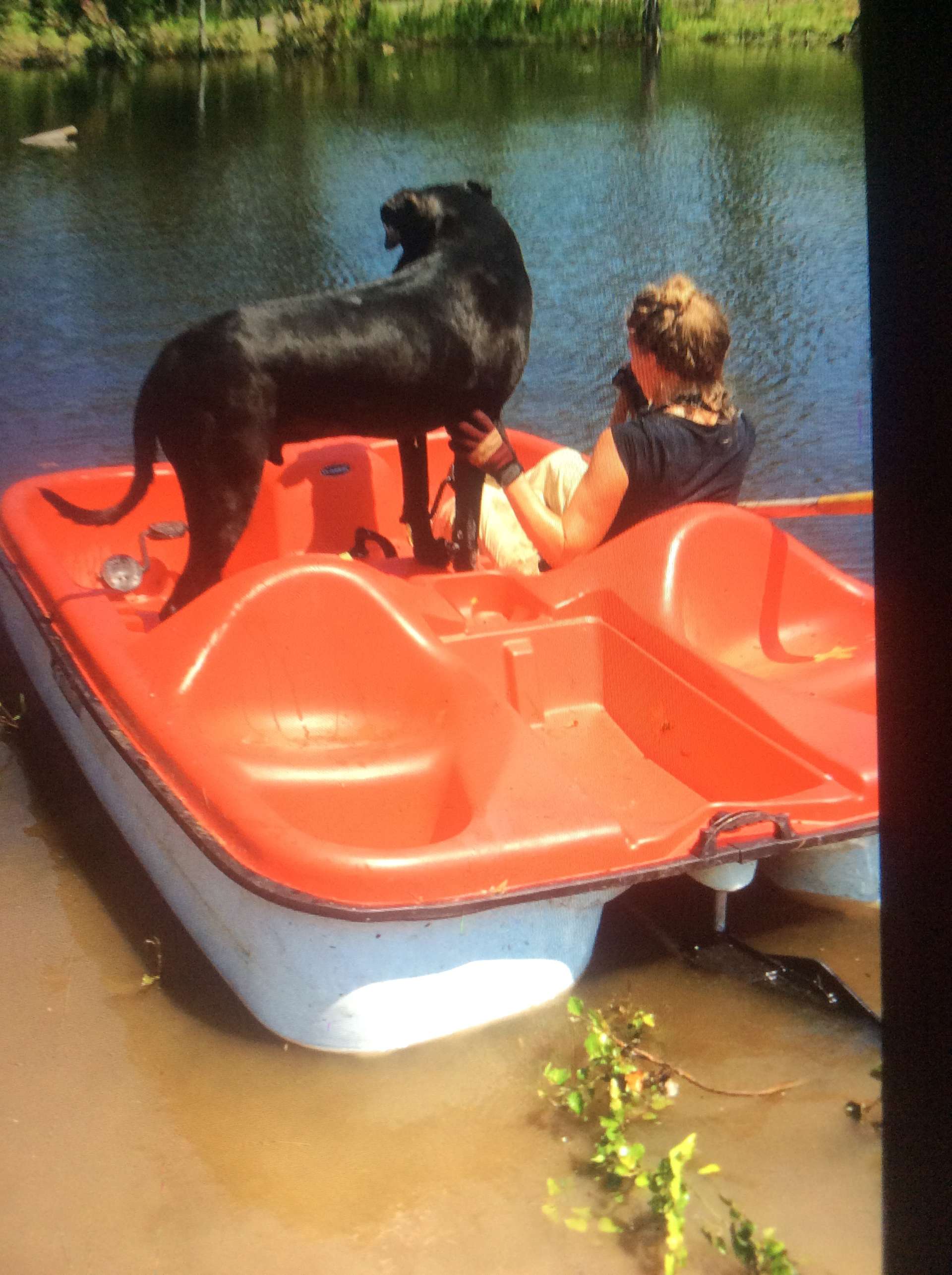 Craigslist Lumberton North Carolina - 2sd6esx