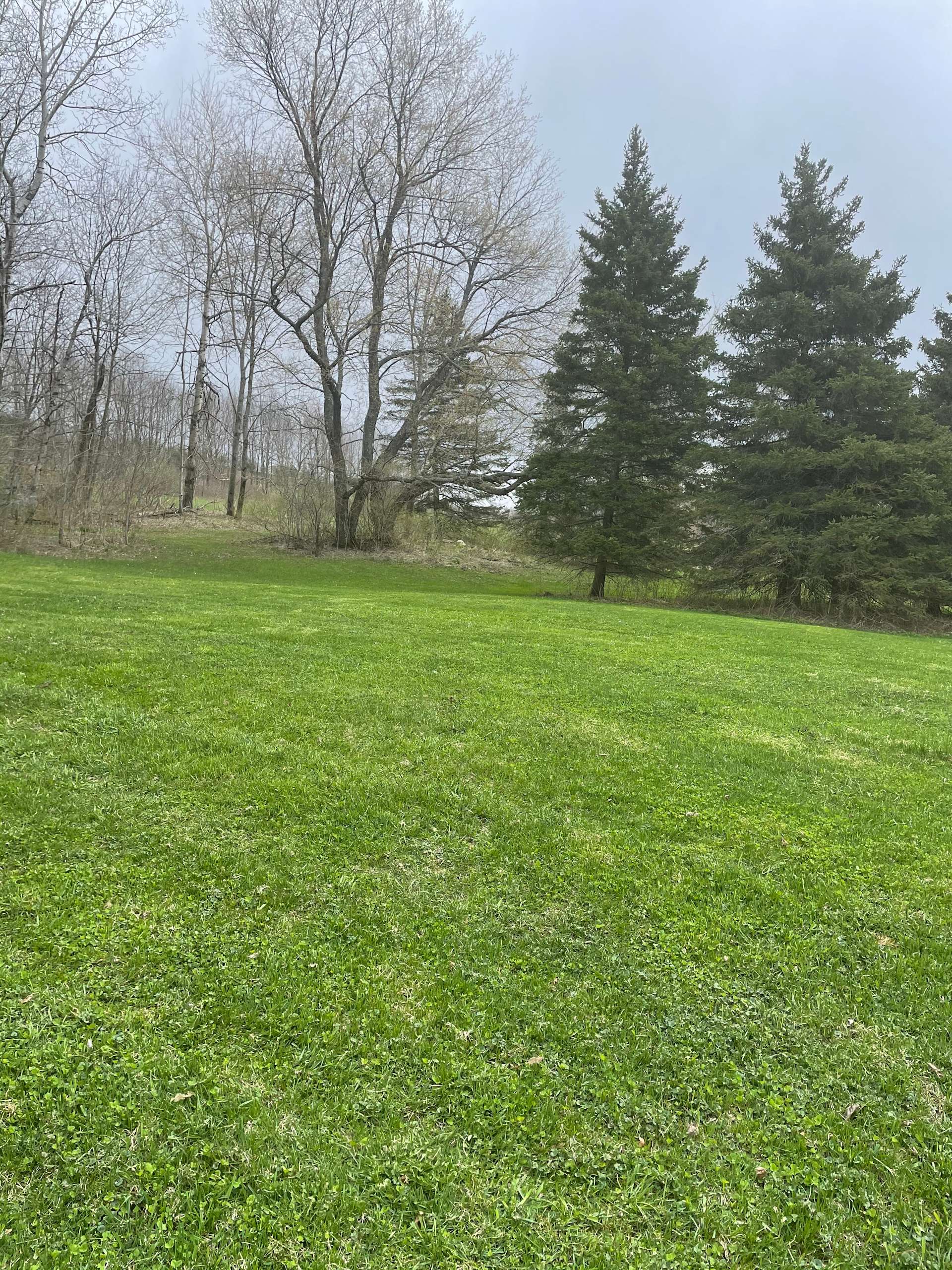 Hill side field, with some woods Hipcamp in Richford, New York