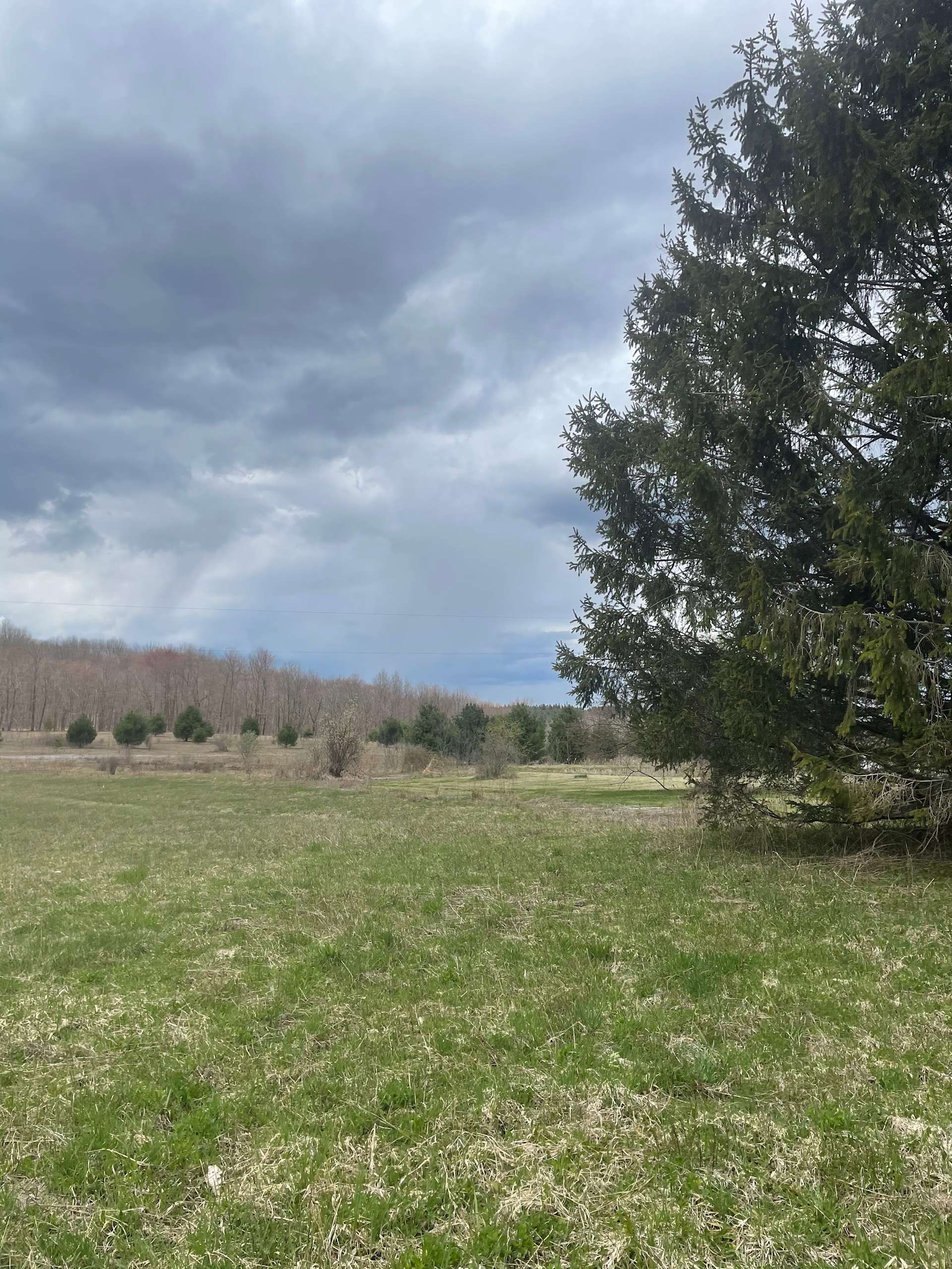 Hill side field, with some woods Hipcamp in Richford, New York