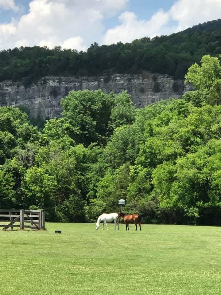 The Ponderosa Hipcamp in South Pittsburg, Tennessee