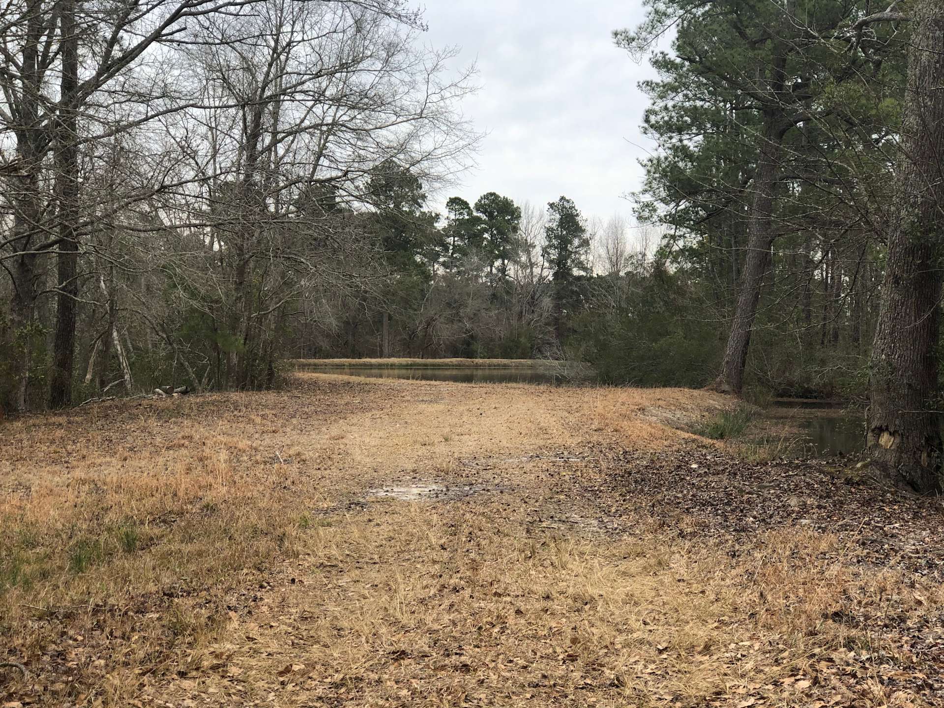 Howle’s Camping Hipcamp in Galivants Ferry, South Carolina