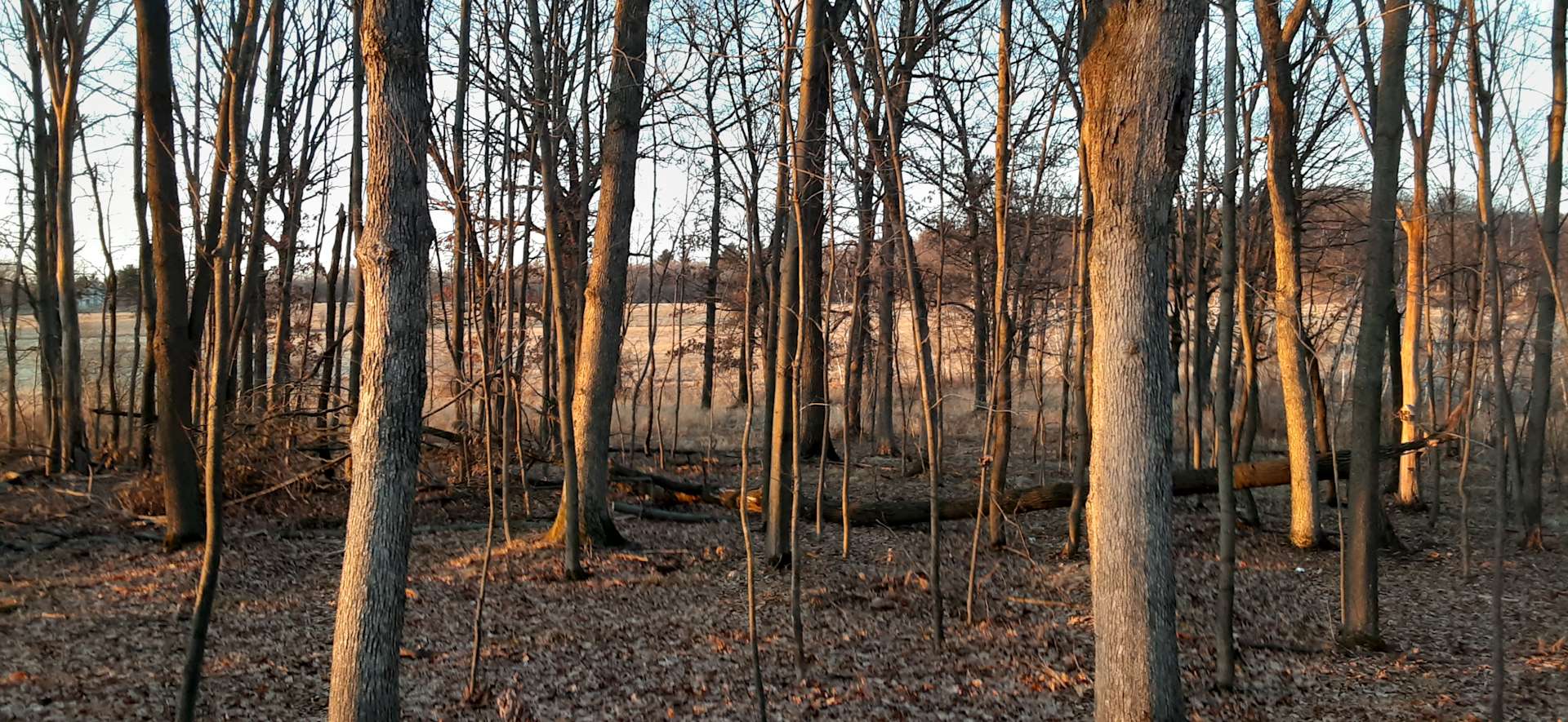 Golden Rule Acres Hipcamp in Cadott, Wisconsin