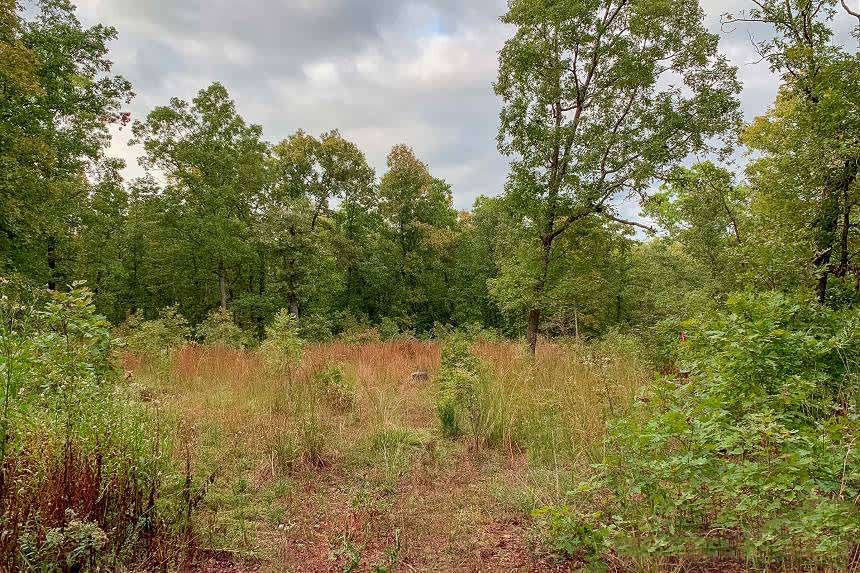 Wagon Wheel Ranch Hipcamp in Watkins Township, Missouri