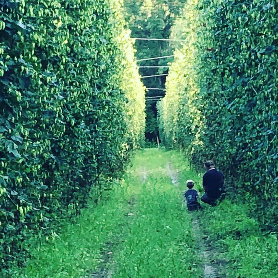 Farm overlooking Canisteo River Hipcamp in , New York