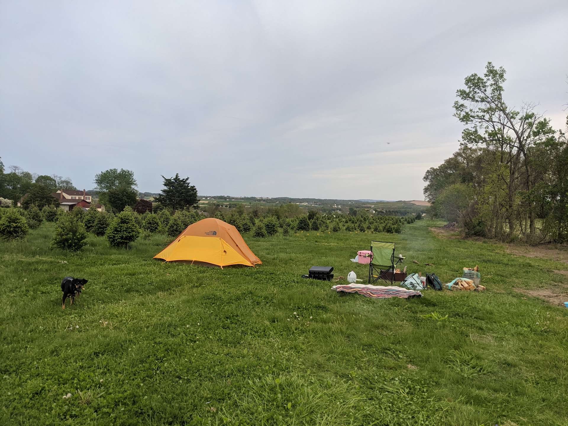Christmas Tree Farm with Views Hipcamp in Elizabethtown, Pennsylvania