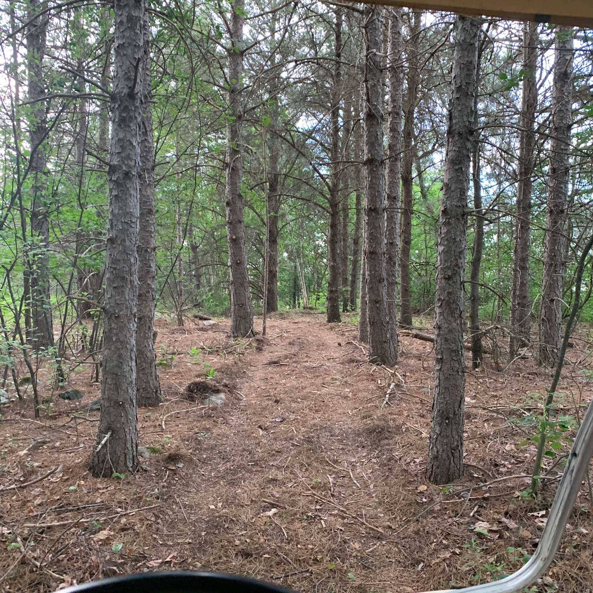 Luch R.’s Land Hipcamp in Verner, Ontario