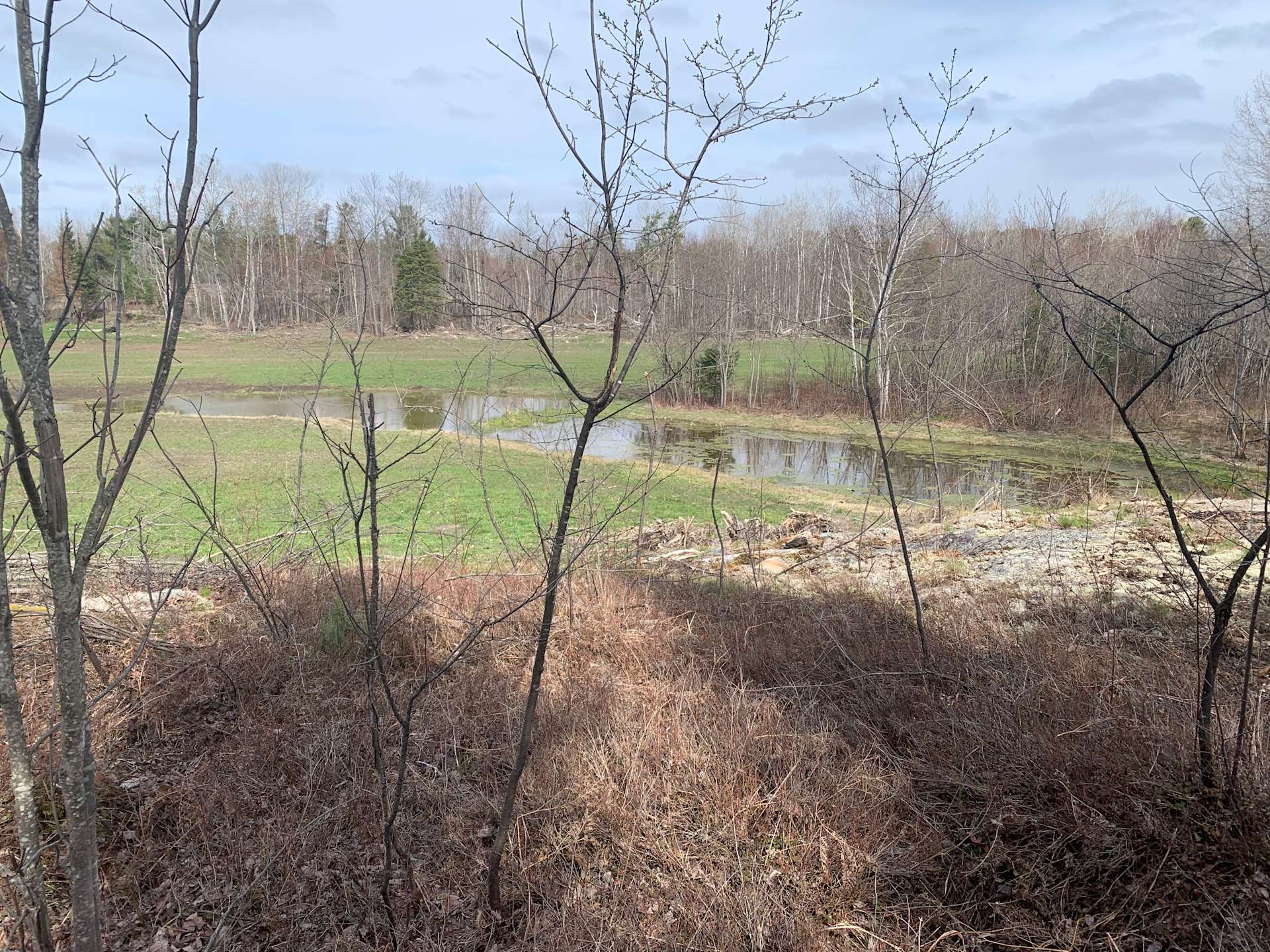 Luch R.’s Land Hipcamp in Verner, Ontario