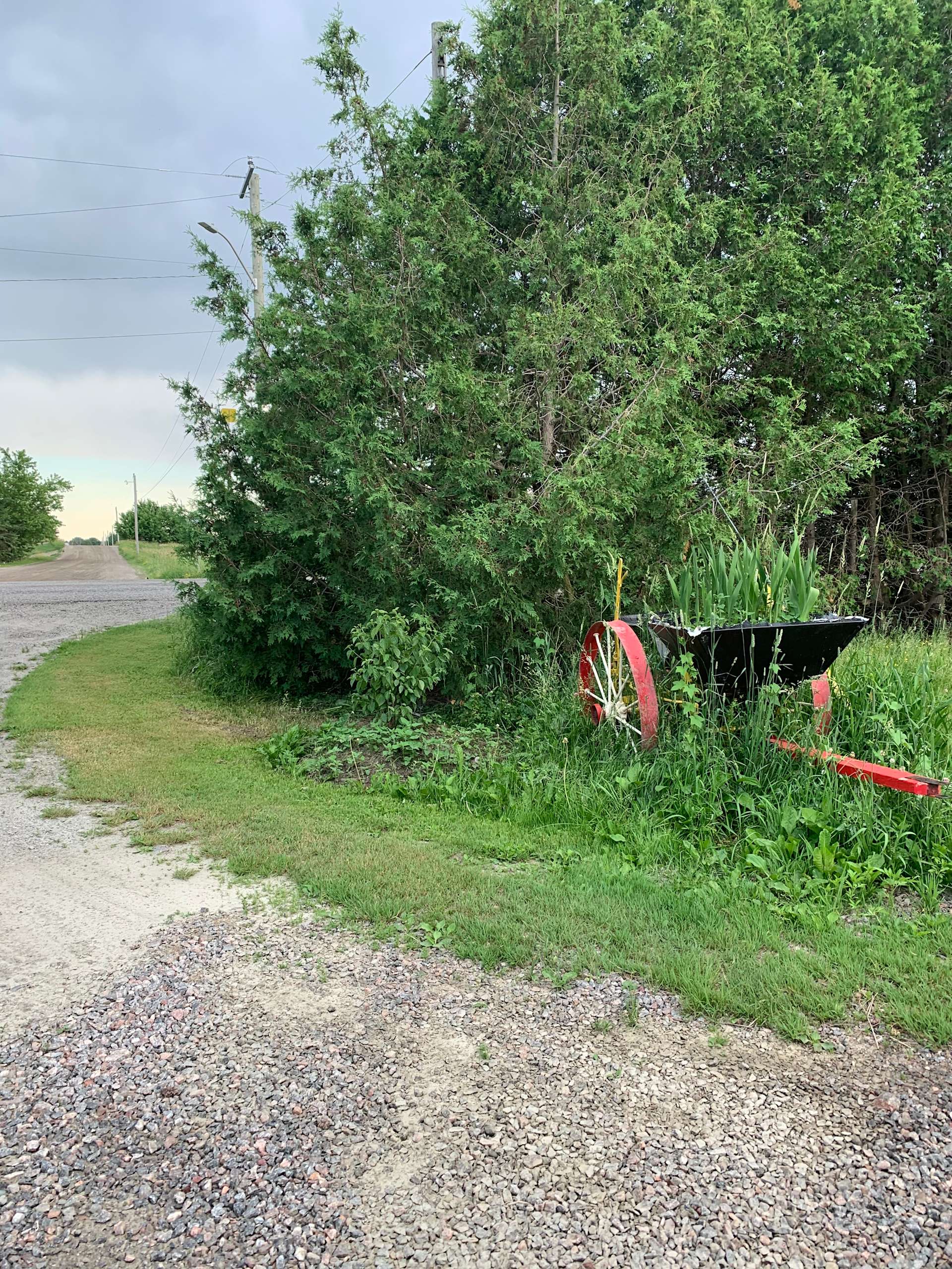 Luch R.’s Land Hipcamp in Verner, Ontario