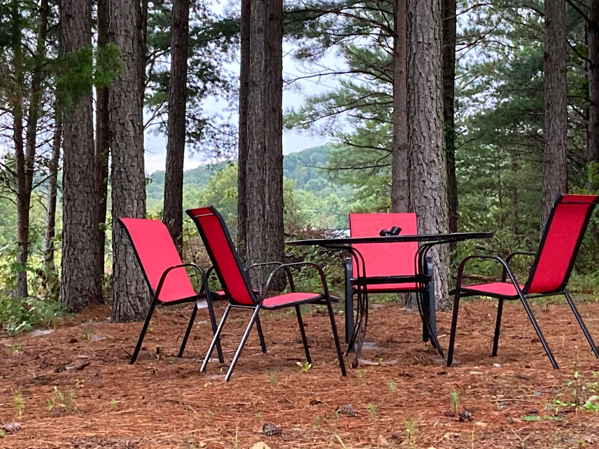 South Mountain Glamping Hipcamp in Lawndale, North Carolina