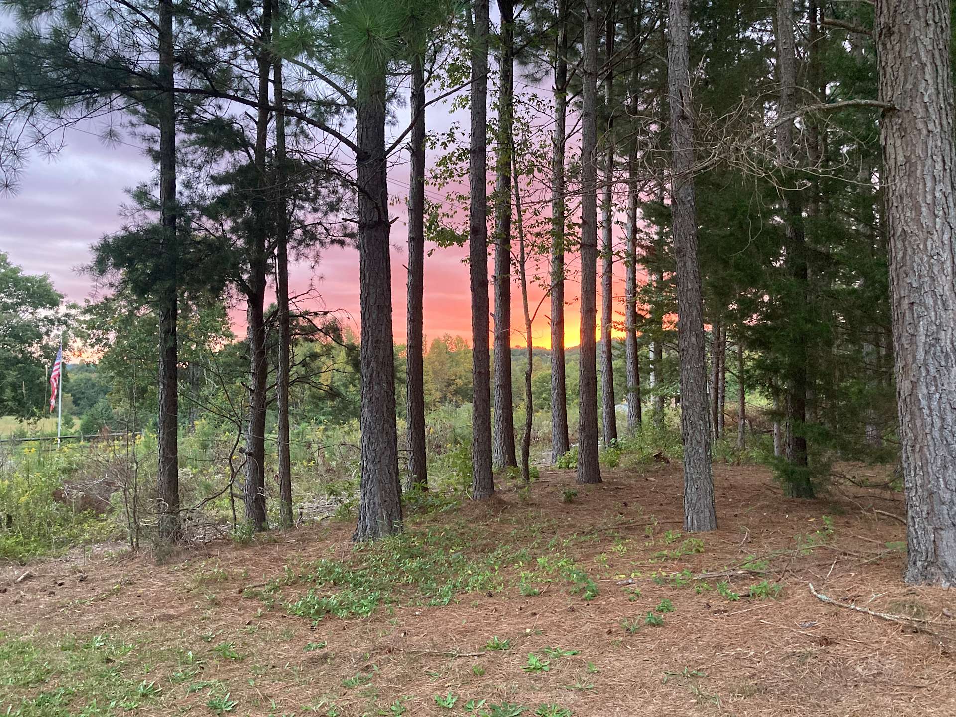 South Mountain Glamping Hipcamp in Lawndale, North Carolina